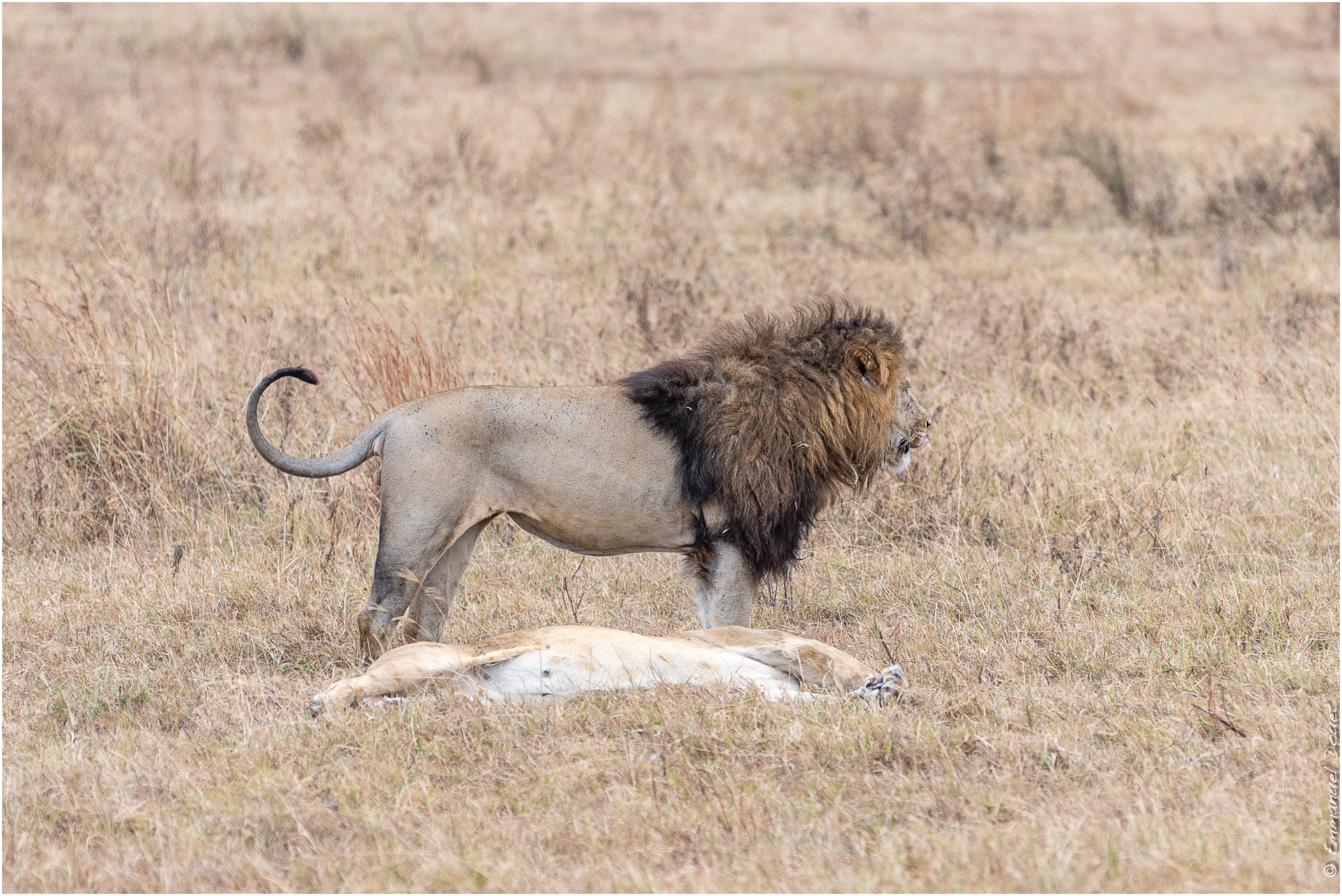 2022 07 Tanzanie 215