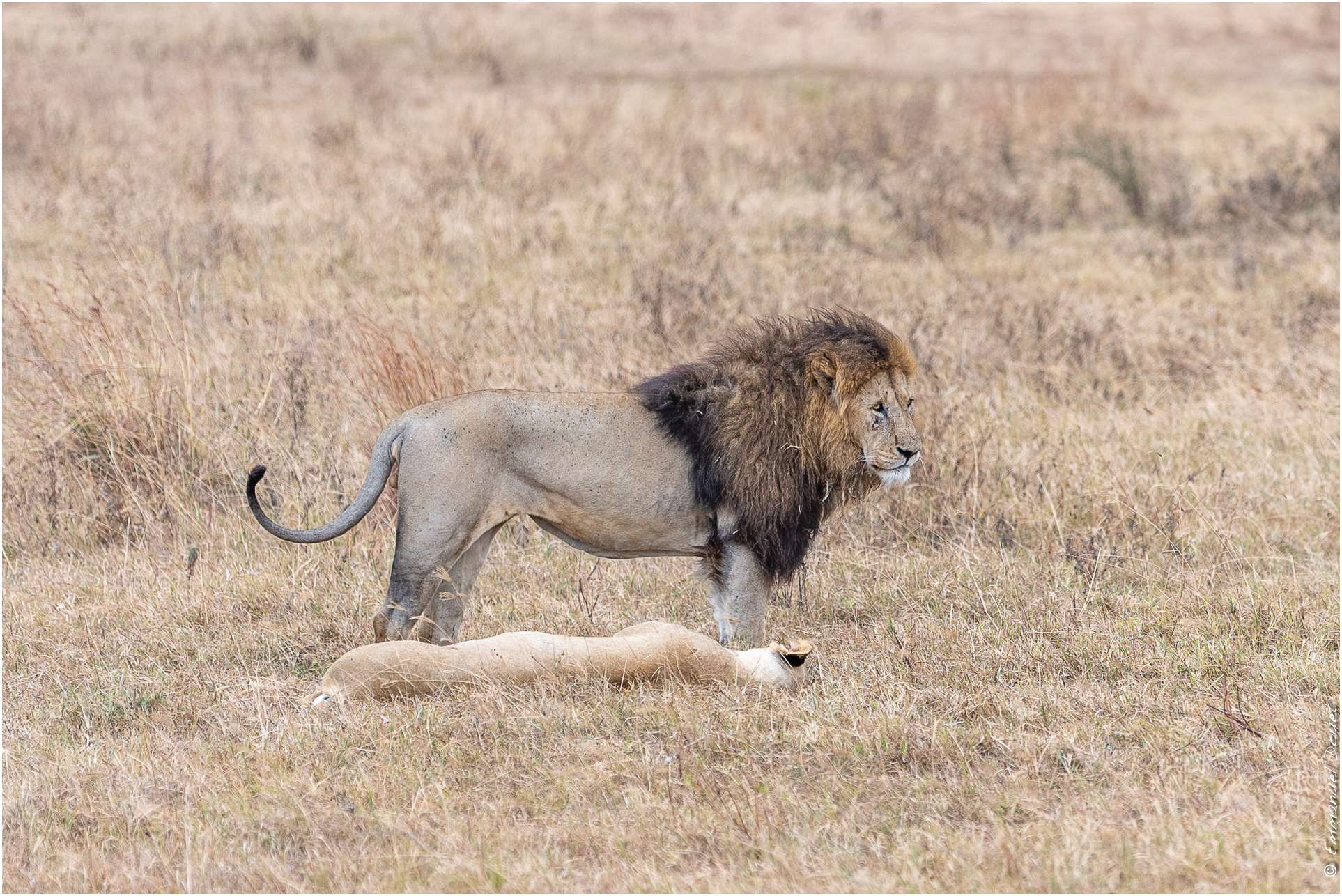 2022 07 Tanzanie 218