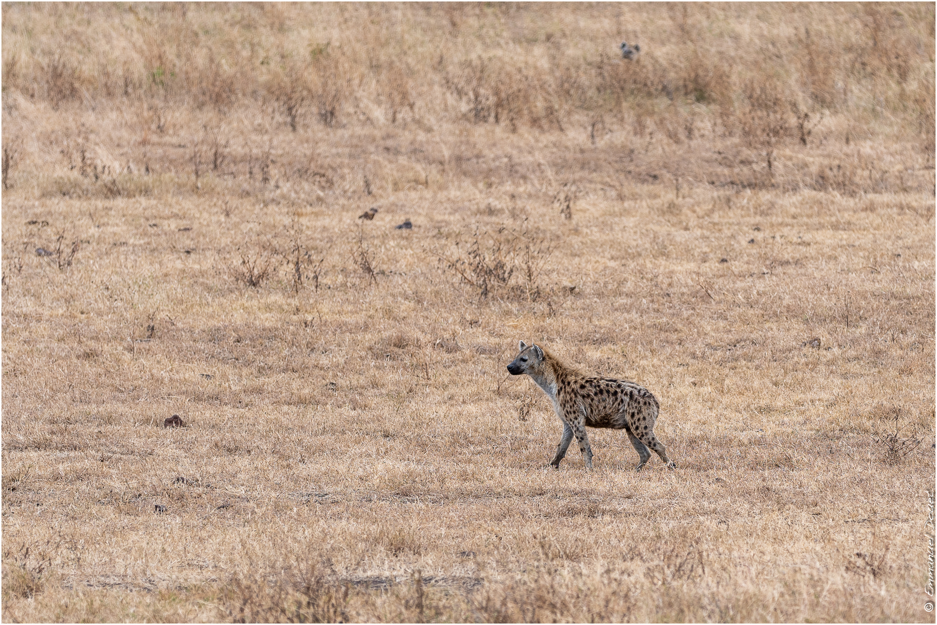 2022 07 Tanzanie 222