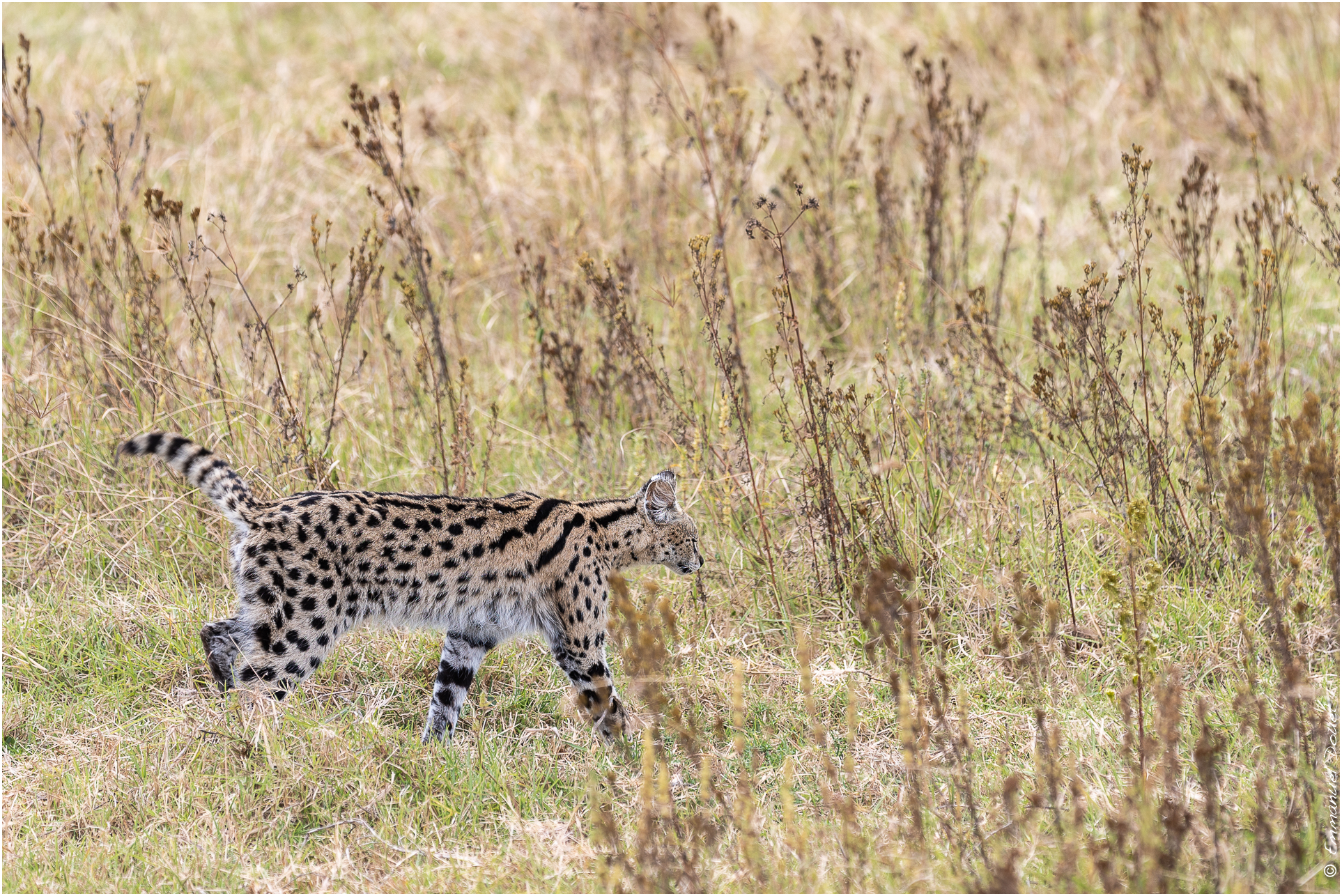 2022 07 Tanzanie 228