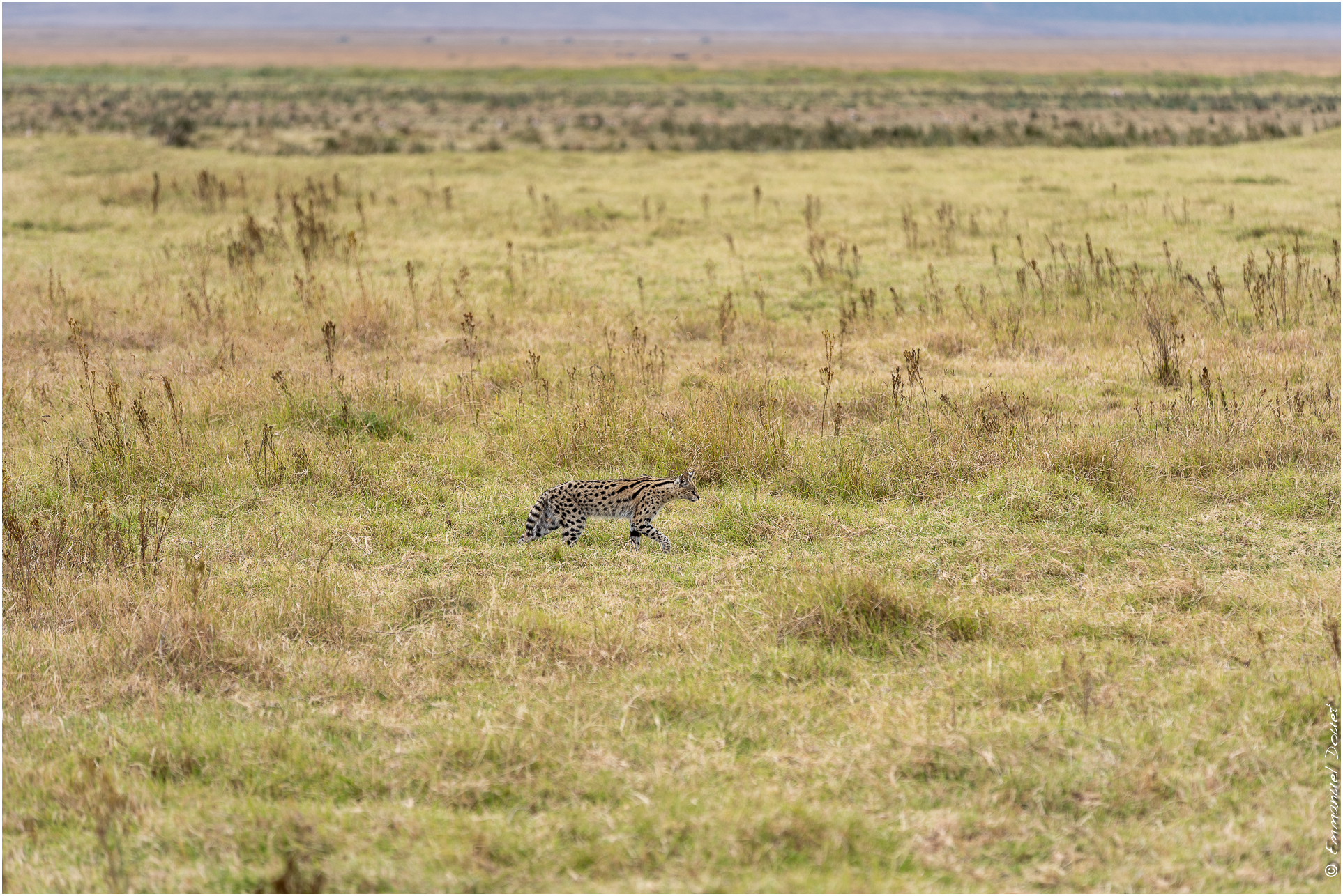 2022 07 Tanzanie 229