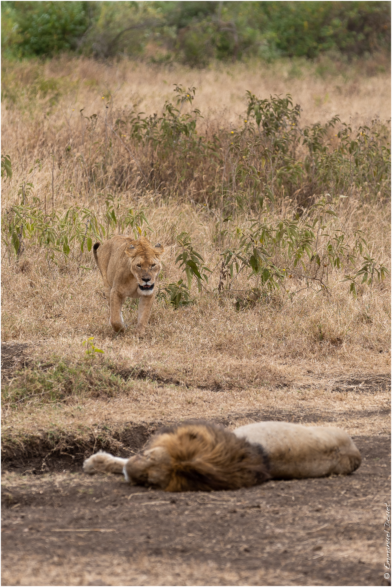 2022 07 Tanzanie 232