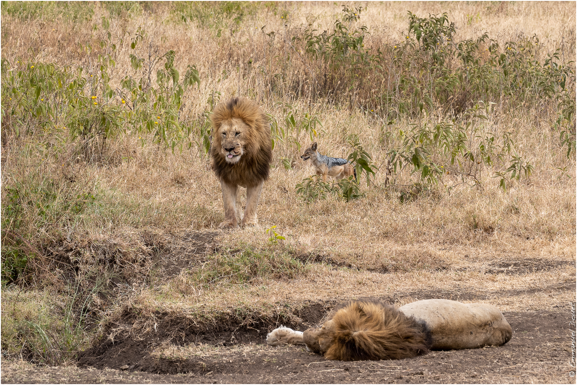 2022 07 Tanzanie 234