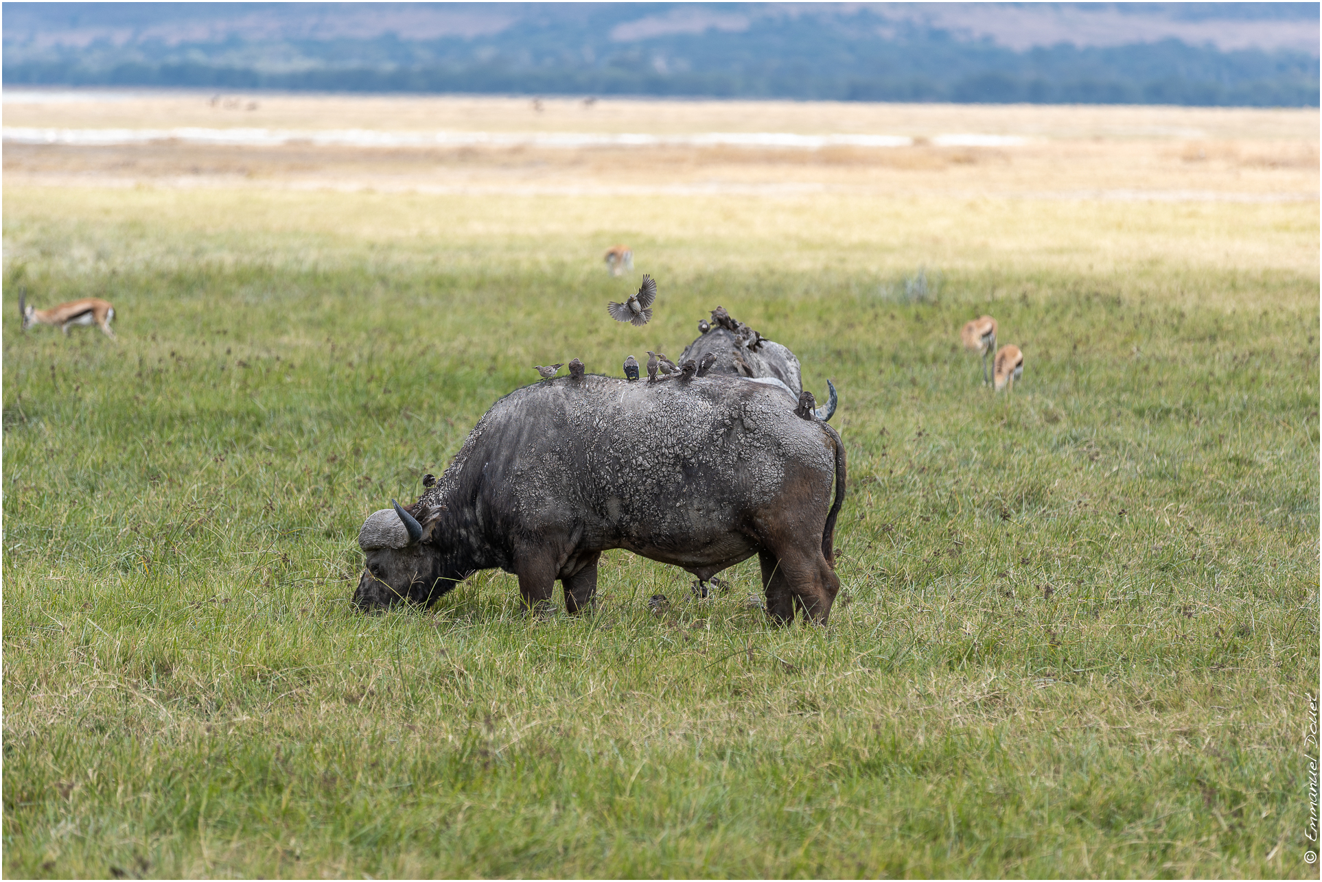 2022 07 Tanzanie 237