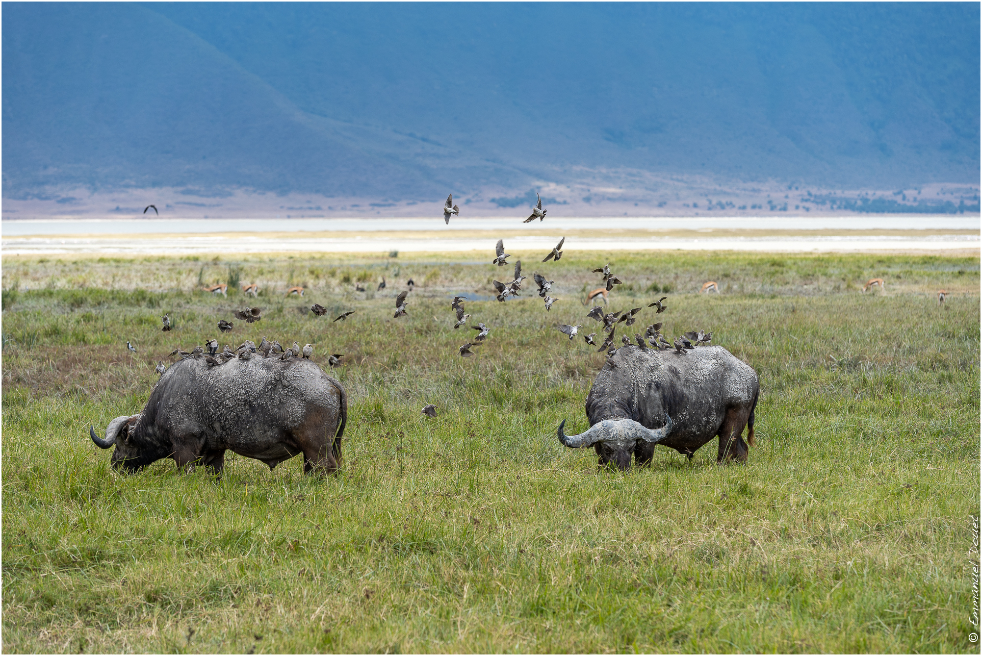 2022 07 Tanzanie 238