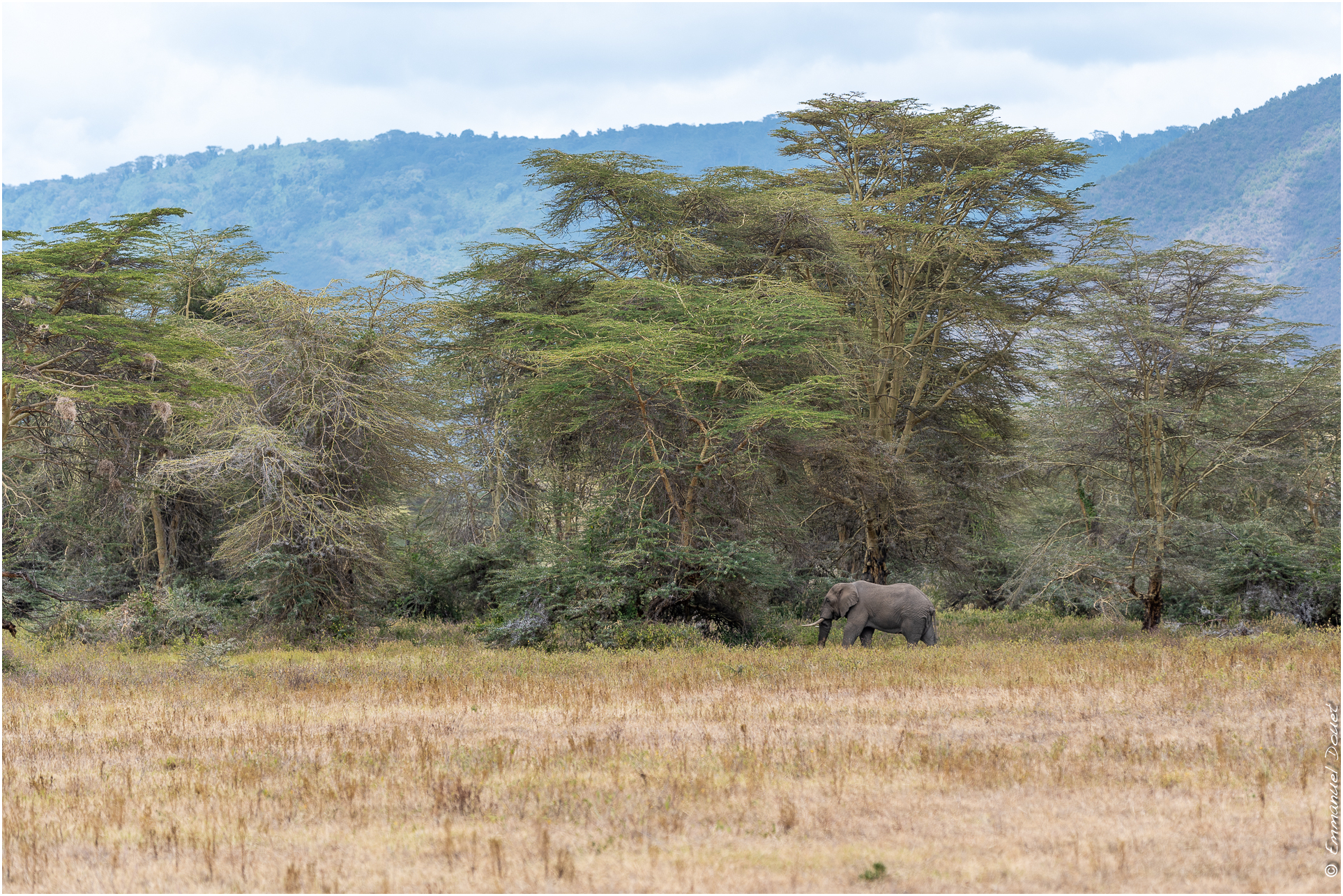 2022 07 Tanzanie 239