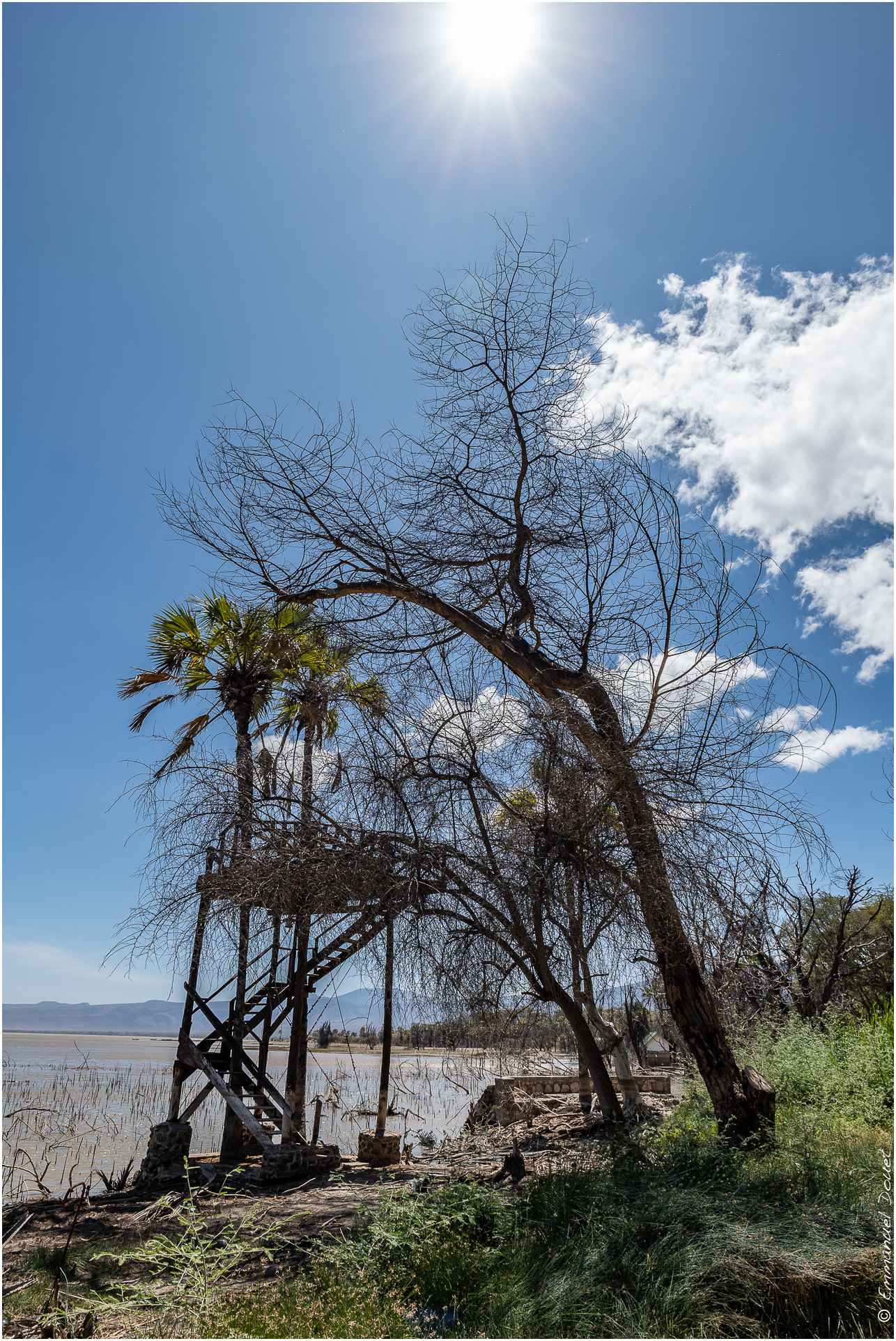 2022 07 Tanzanie 259