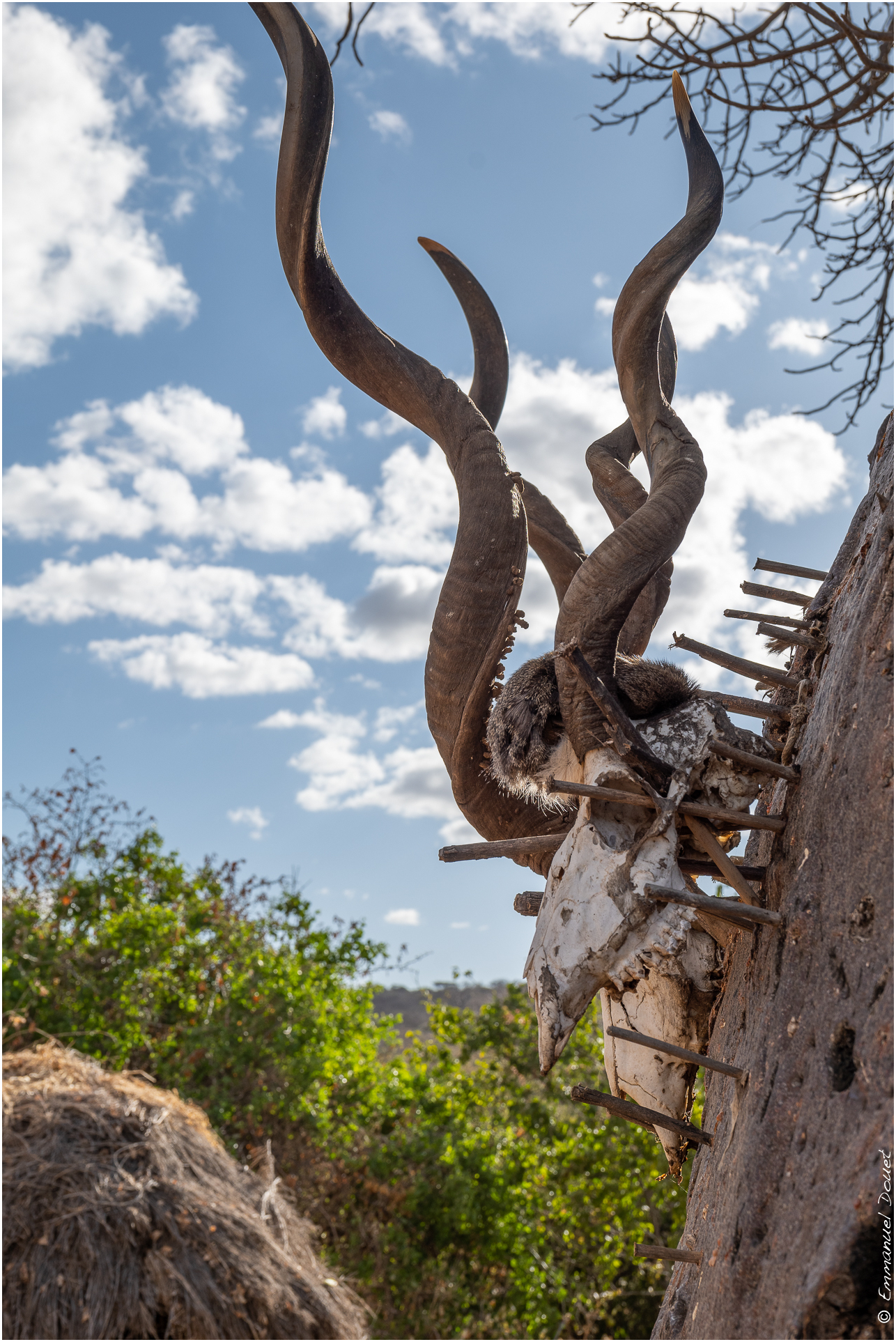 2022 07 Tanzanie 264