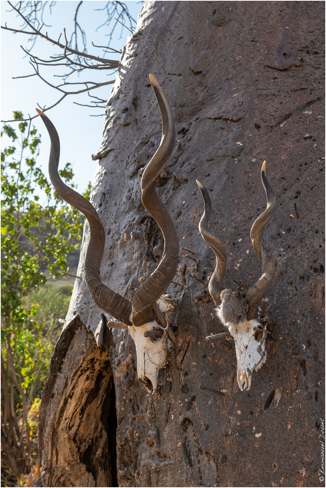 2022 07 Tanzanie 268