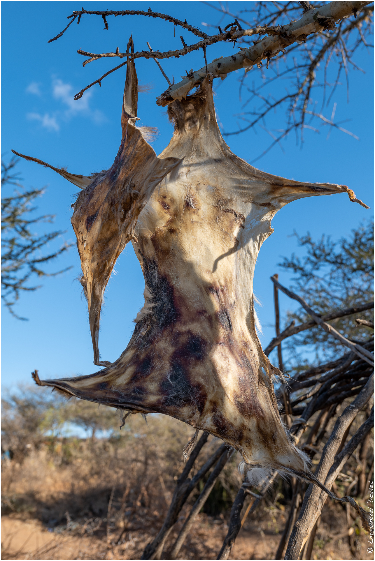 2022 07 Tanzanie 309