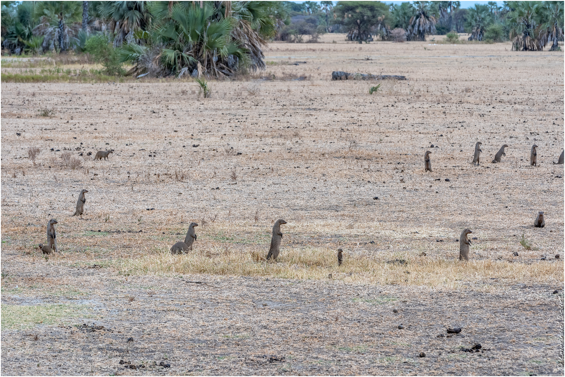 2022 07 Tanzanie 328