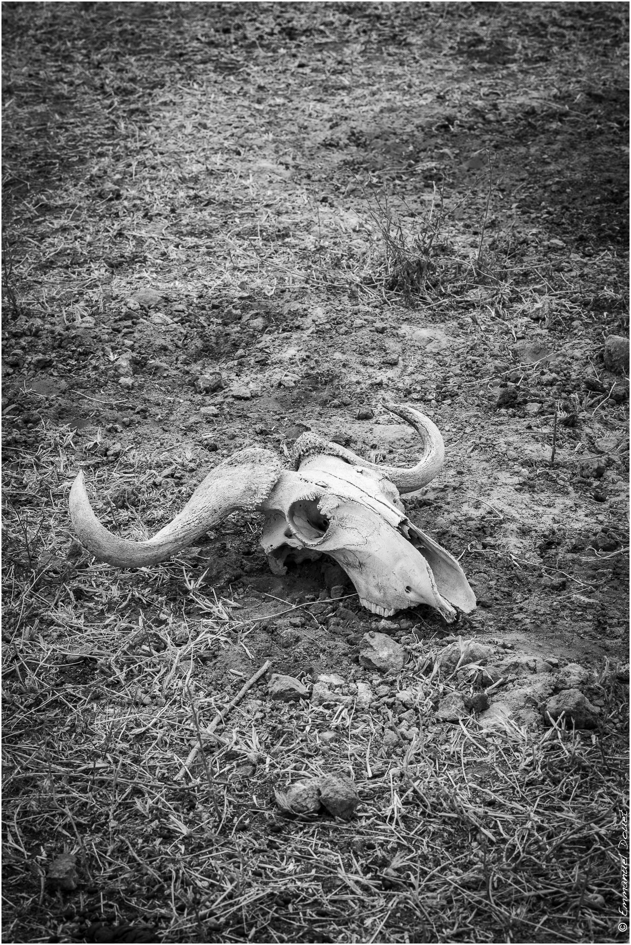 2022 07 Tanzanie 329