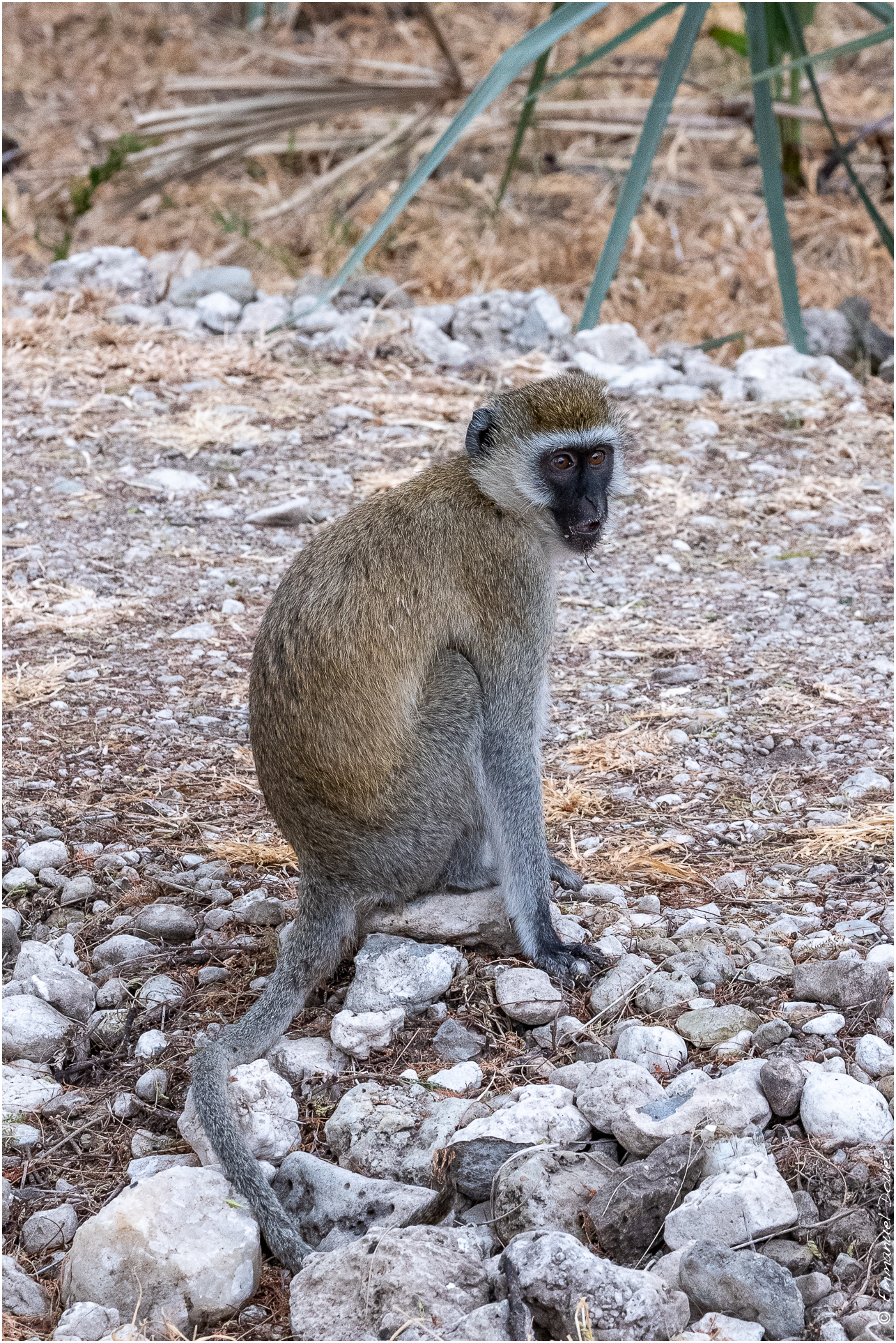 2022 07 Tanzanie 330