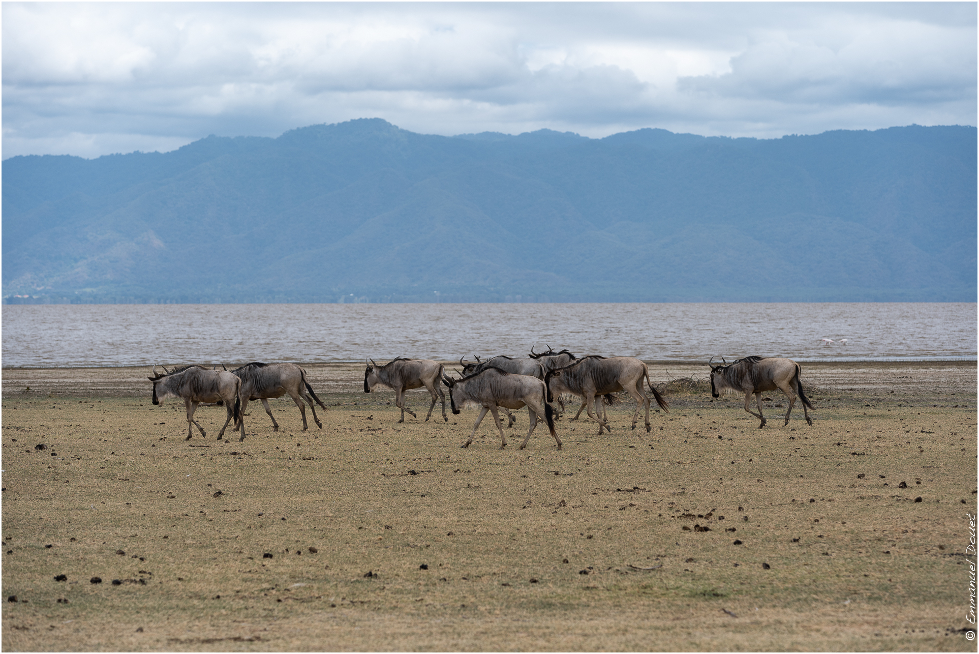 2022 07 Tanzanie 331