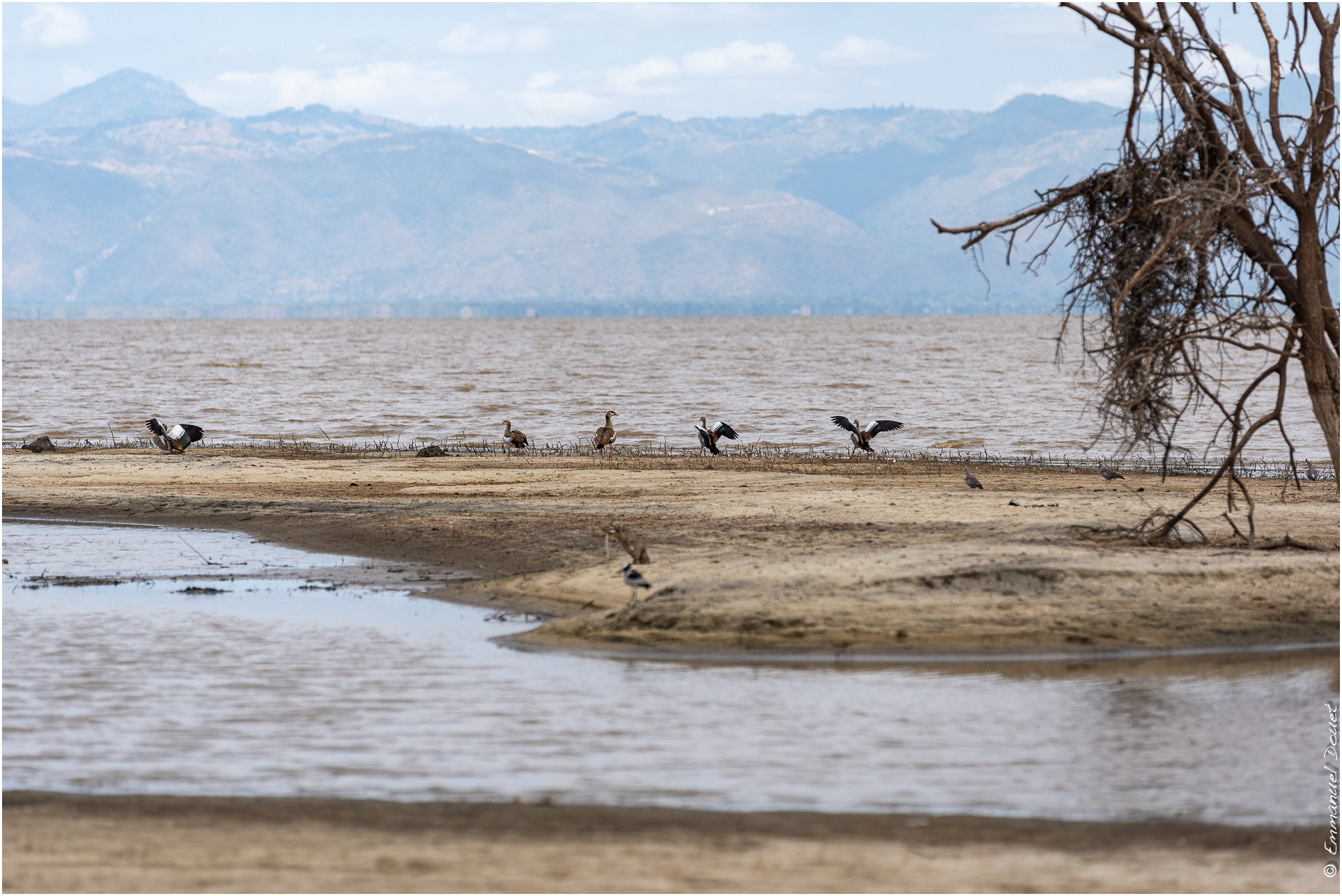 2022 07 Tanzanie 333