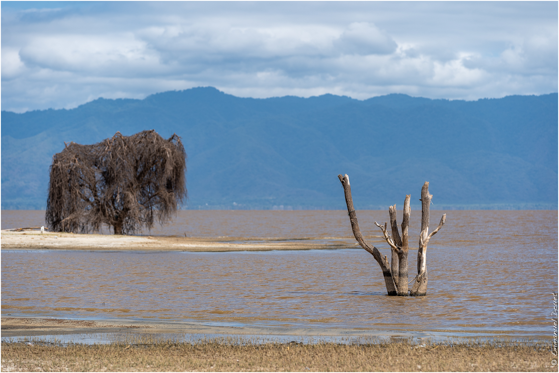 2022 07 Tanzanie 337