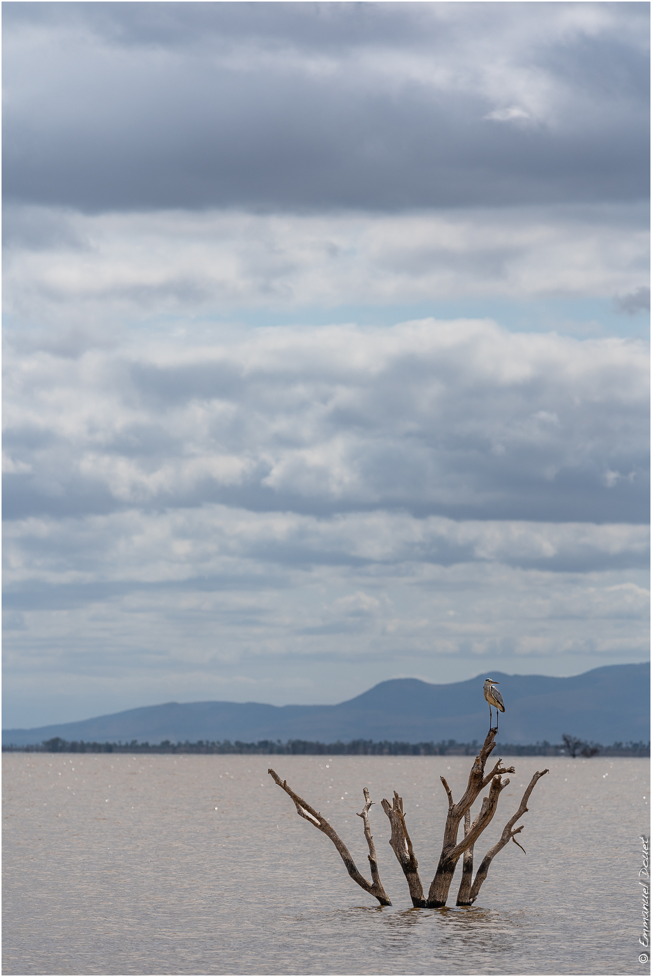 2022 07 Tanzanie 340