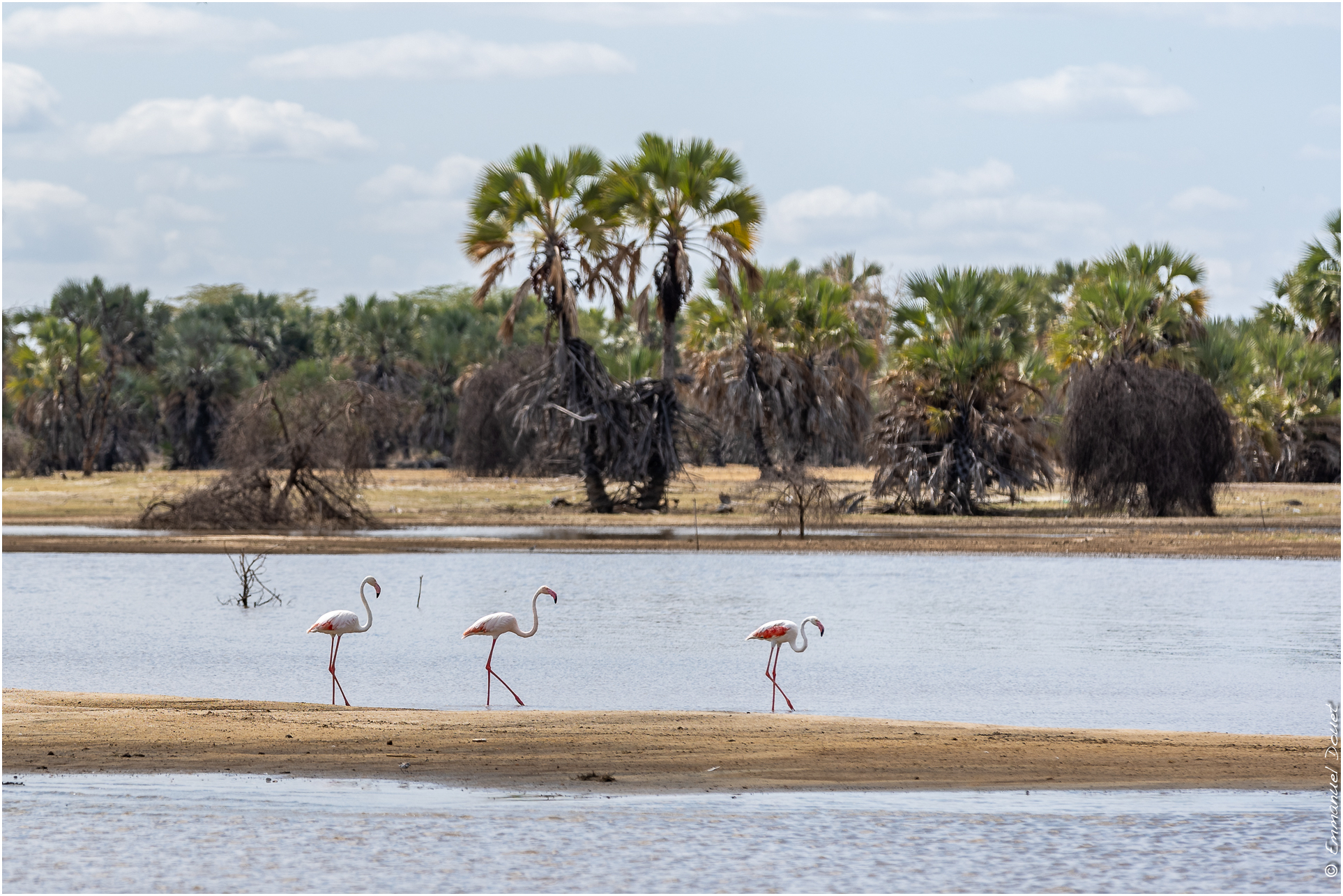 2022 07 Tanzanie 341