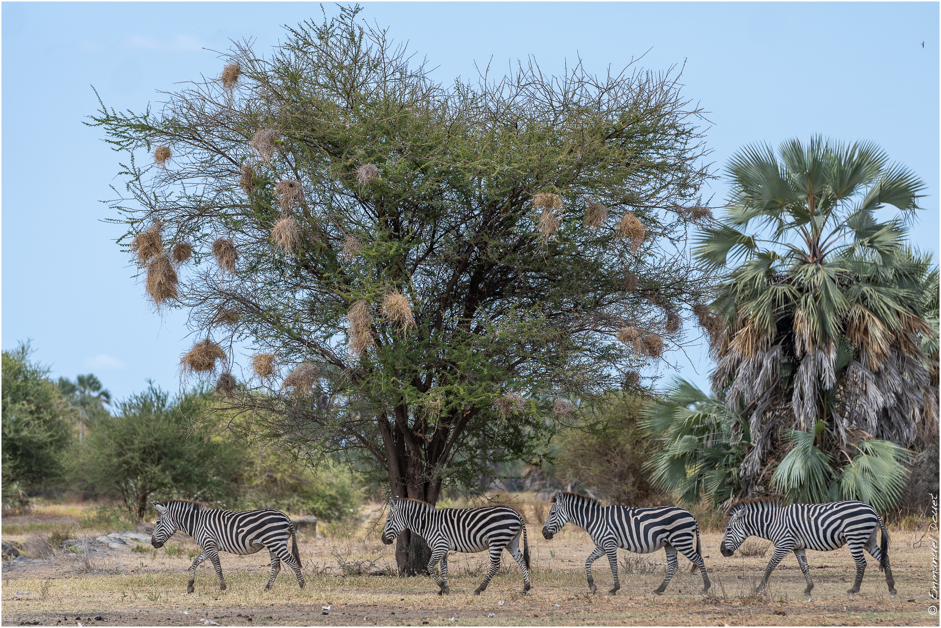 2022 07 Tanzanie 345