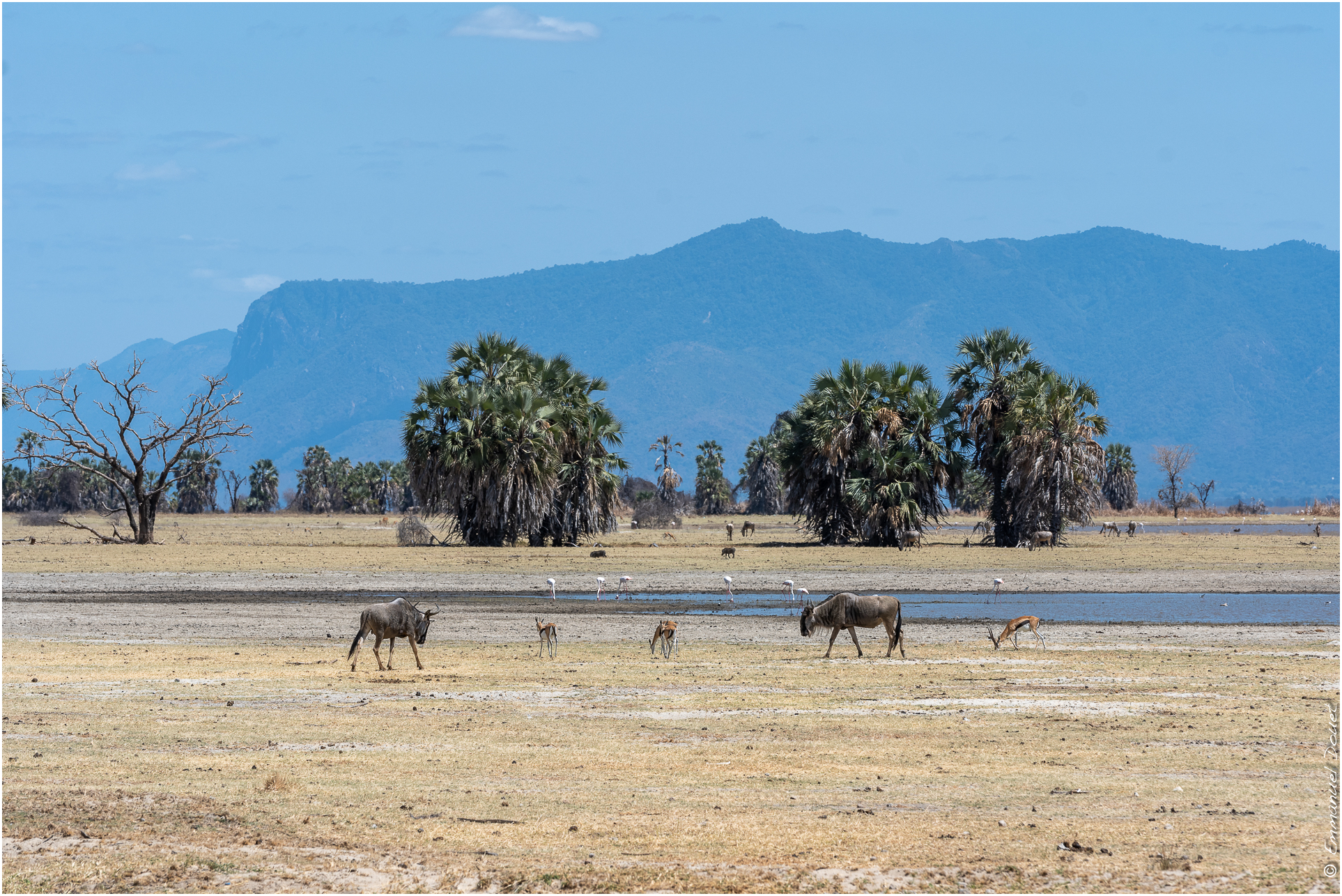 2022 07 Tanzanie 346