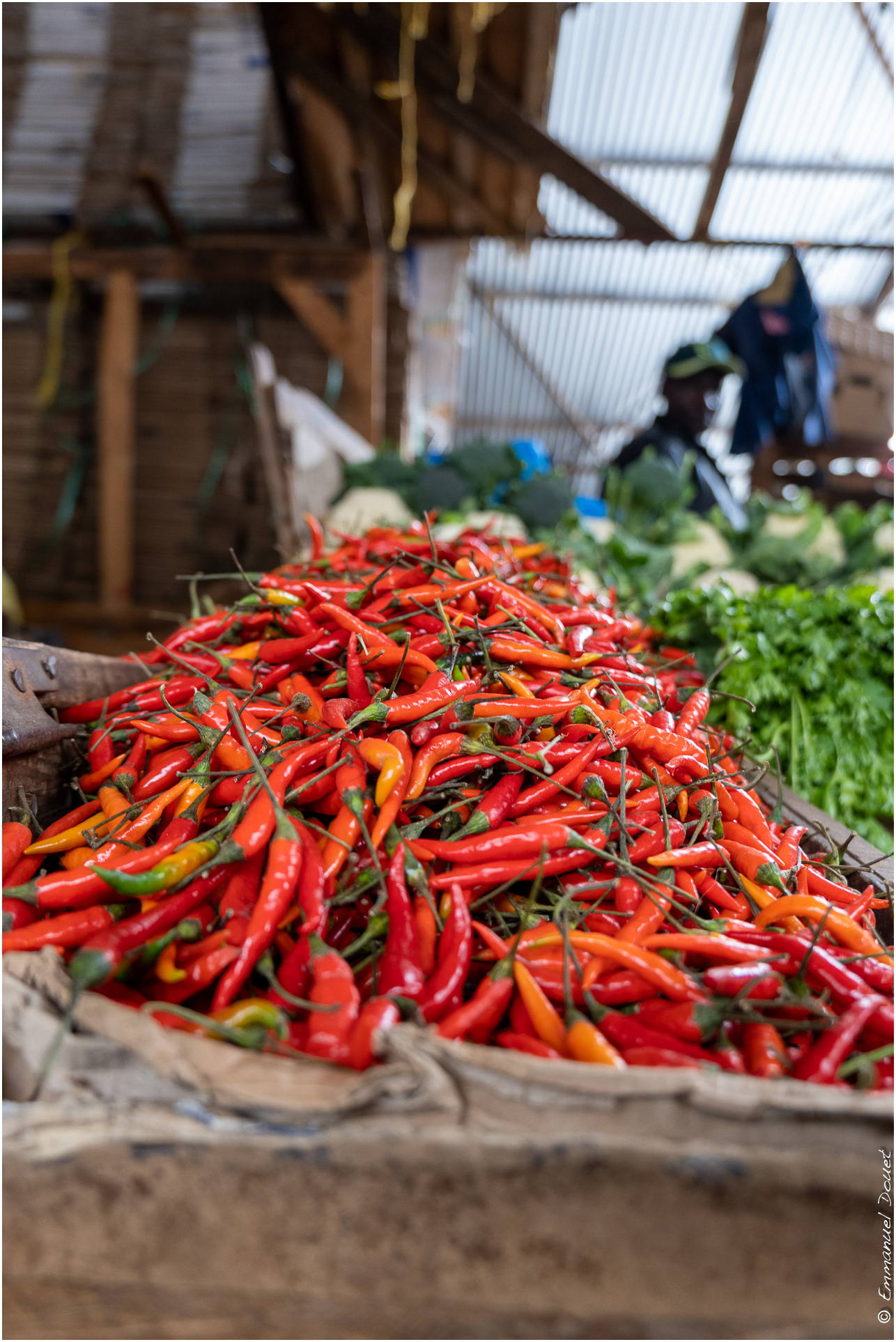 2022 07 Tanzanie 356