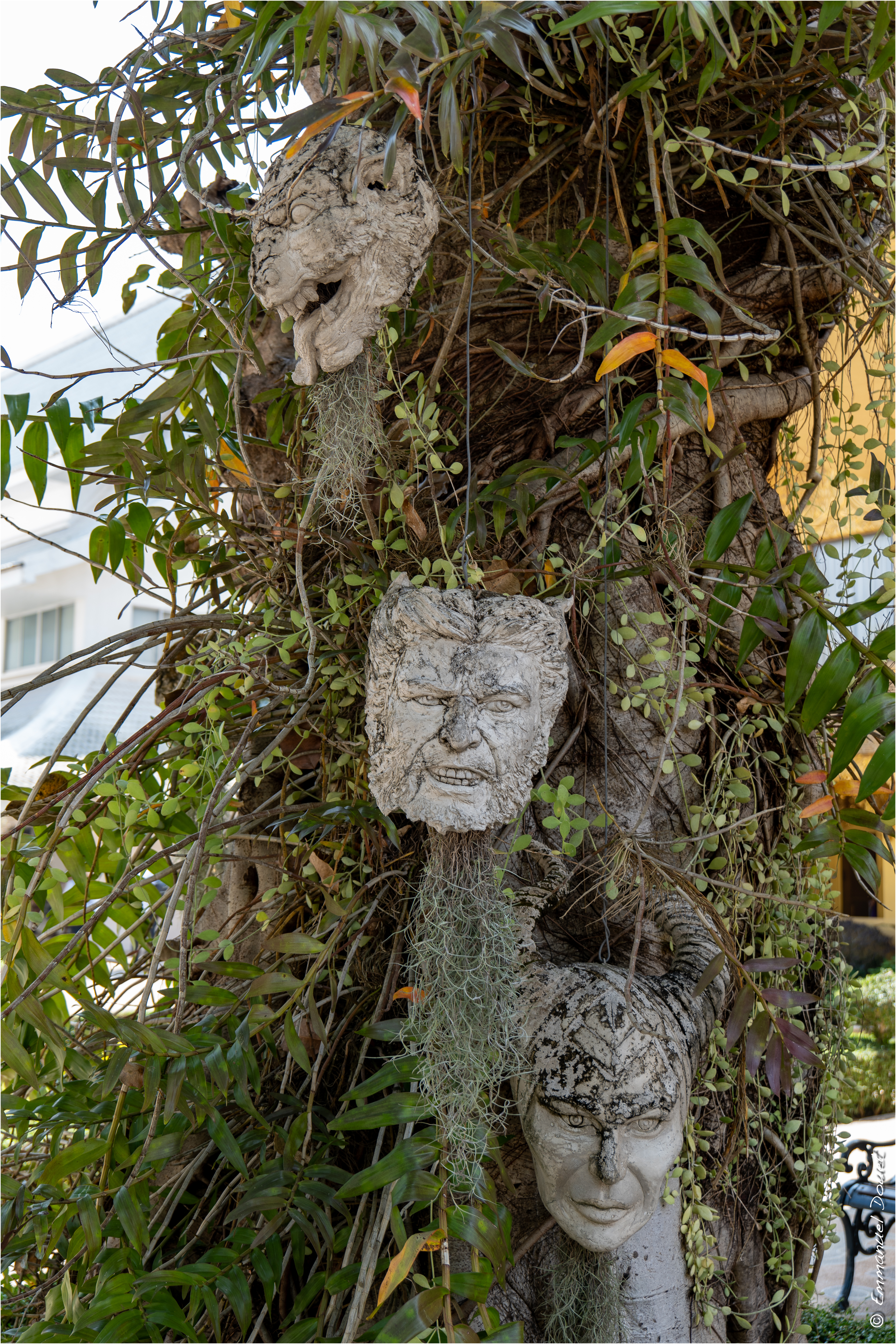 2025 02 Thaïlande&Laos 108