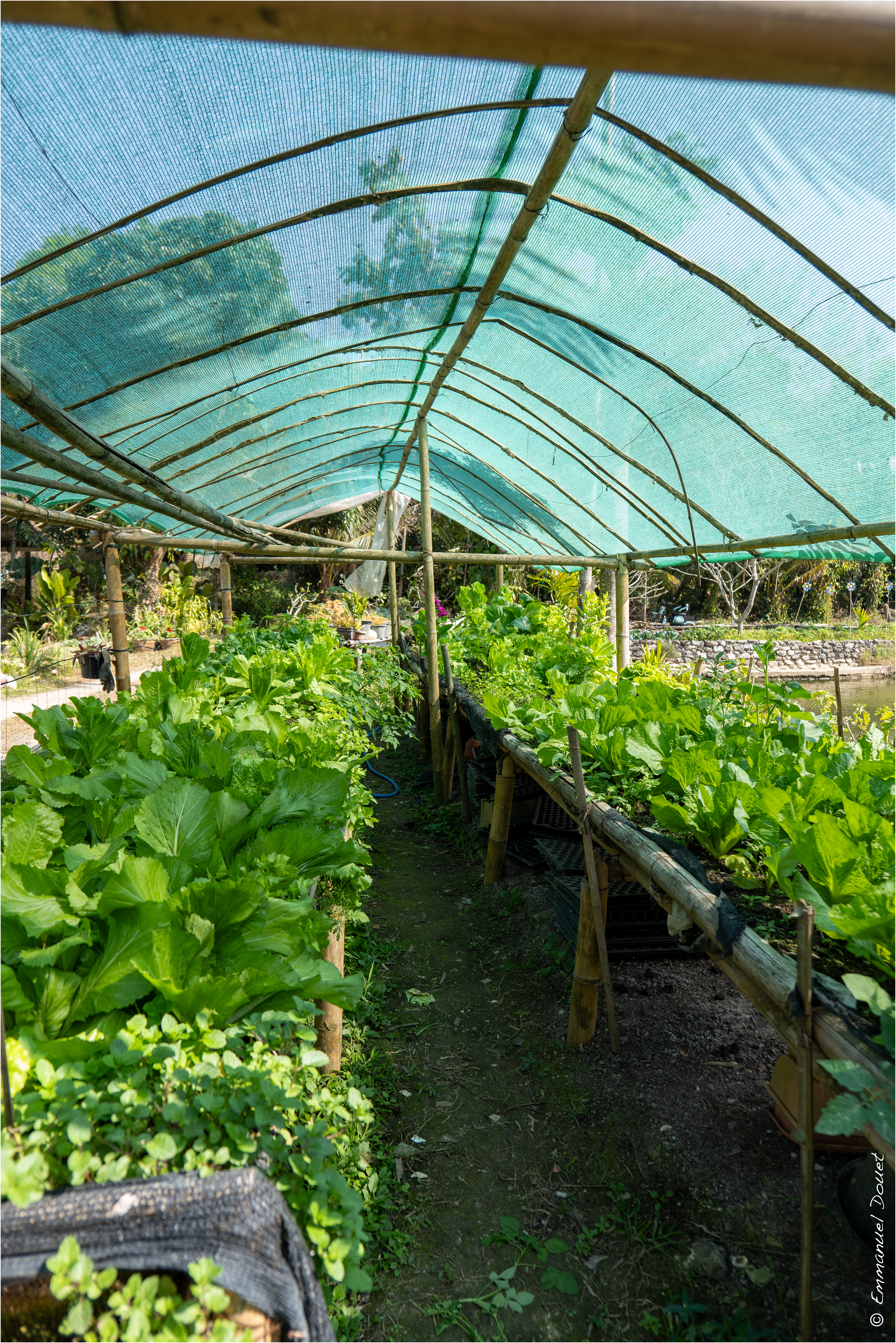 2025 02 Thaïlande&Laos 111