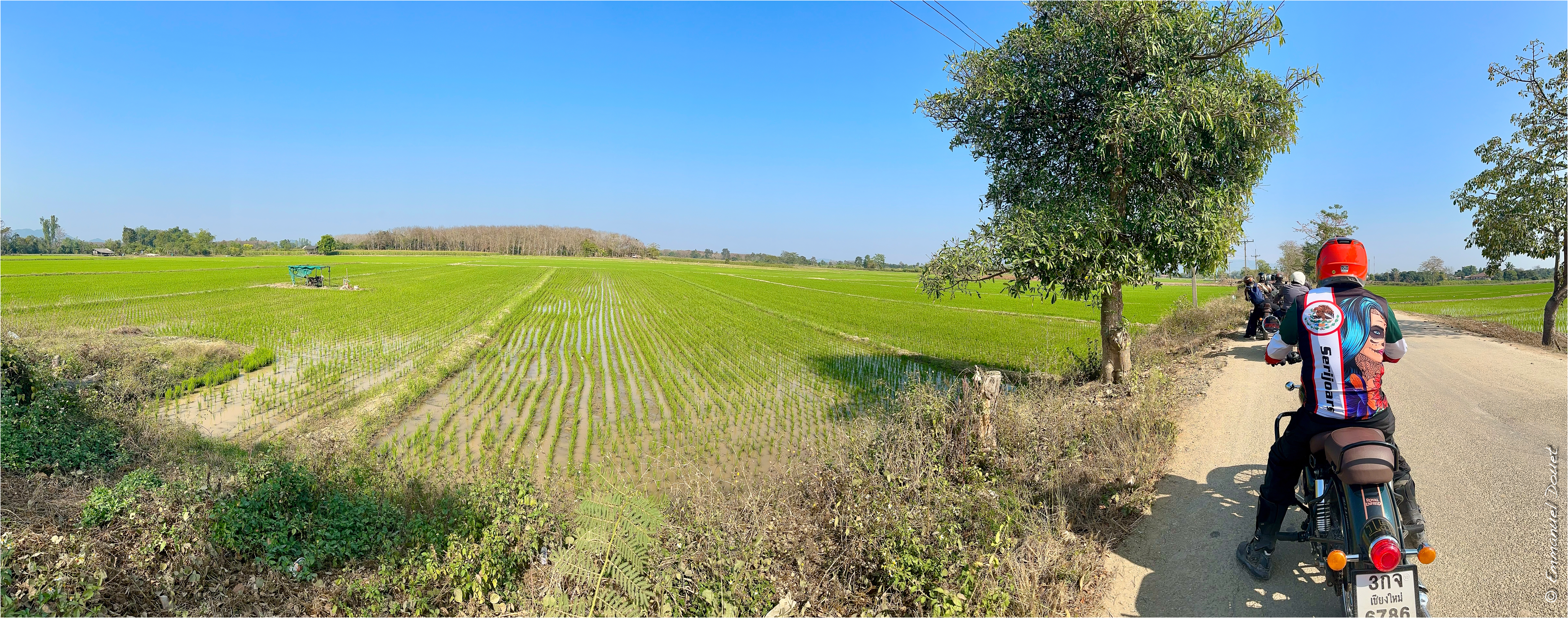 2025 02 Thaïlande&Laos 119