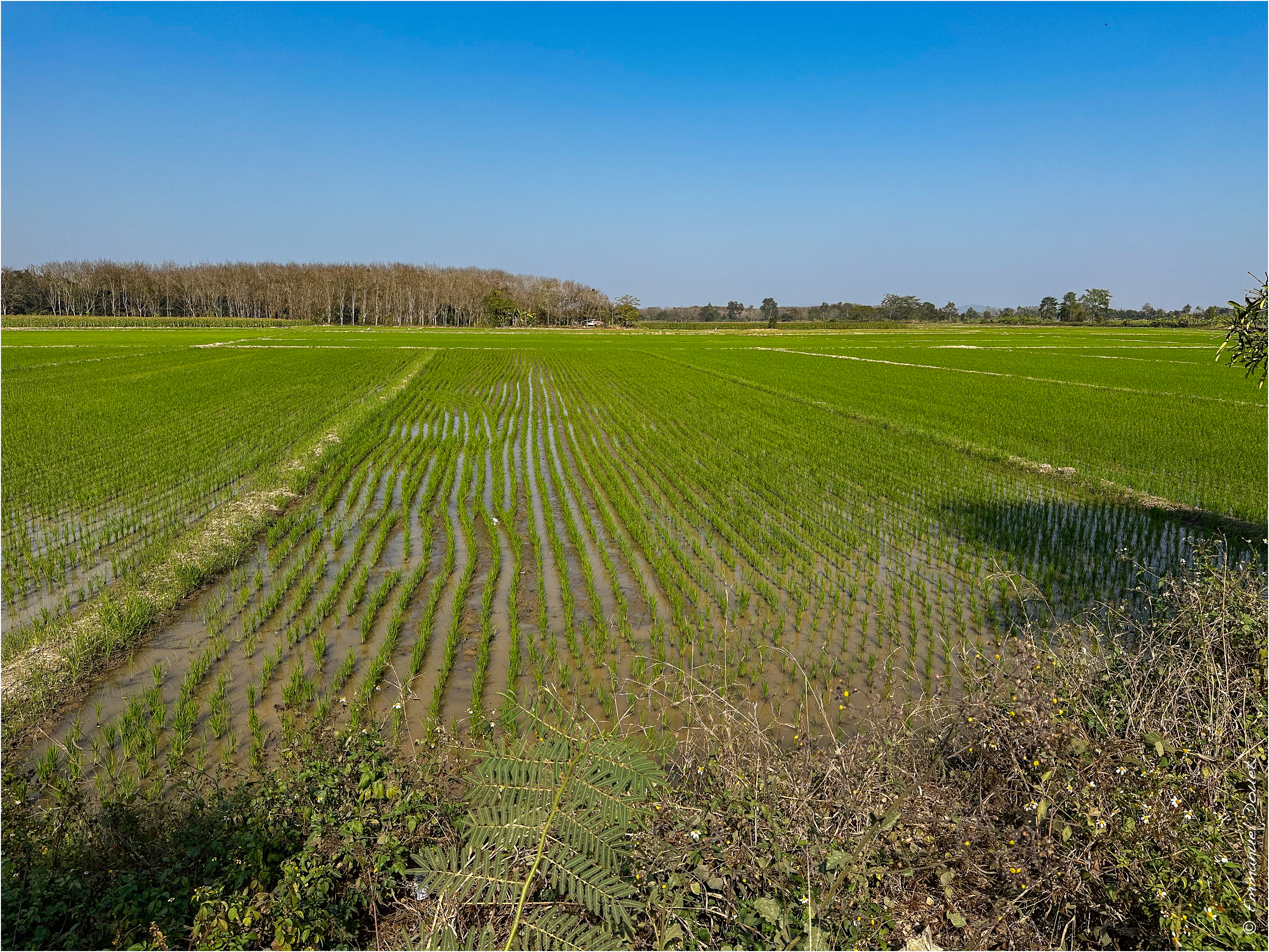 2025 02 Thaïlande&Laos 120