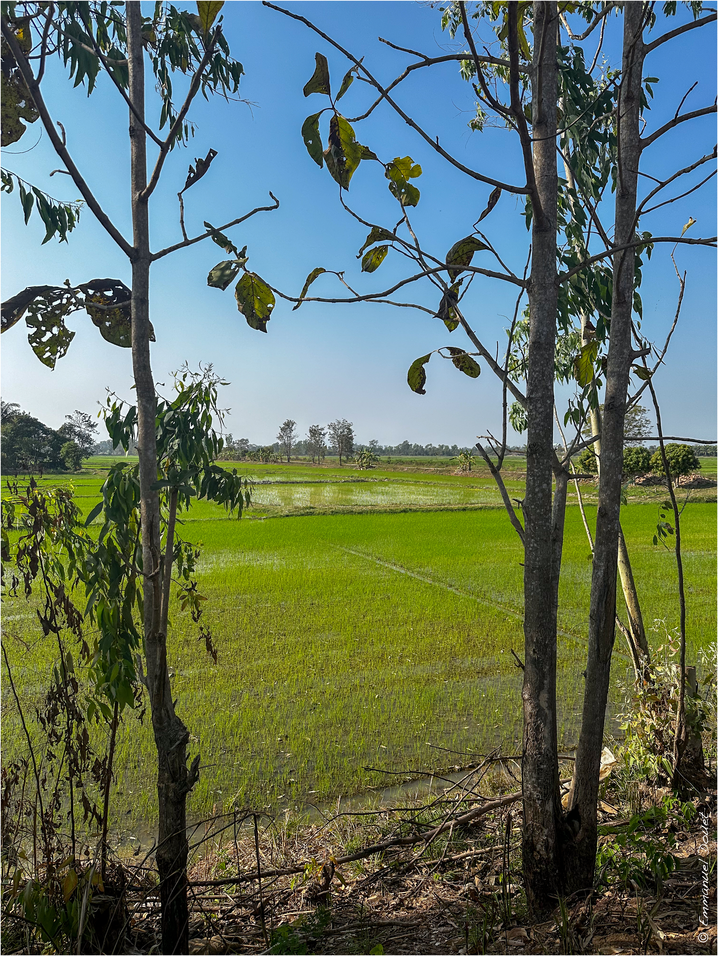 2025 02 Thaïlande&Laos 122