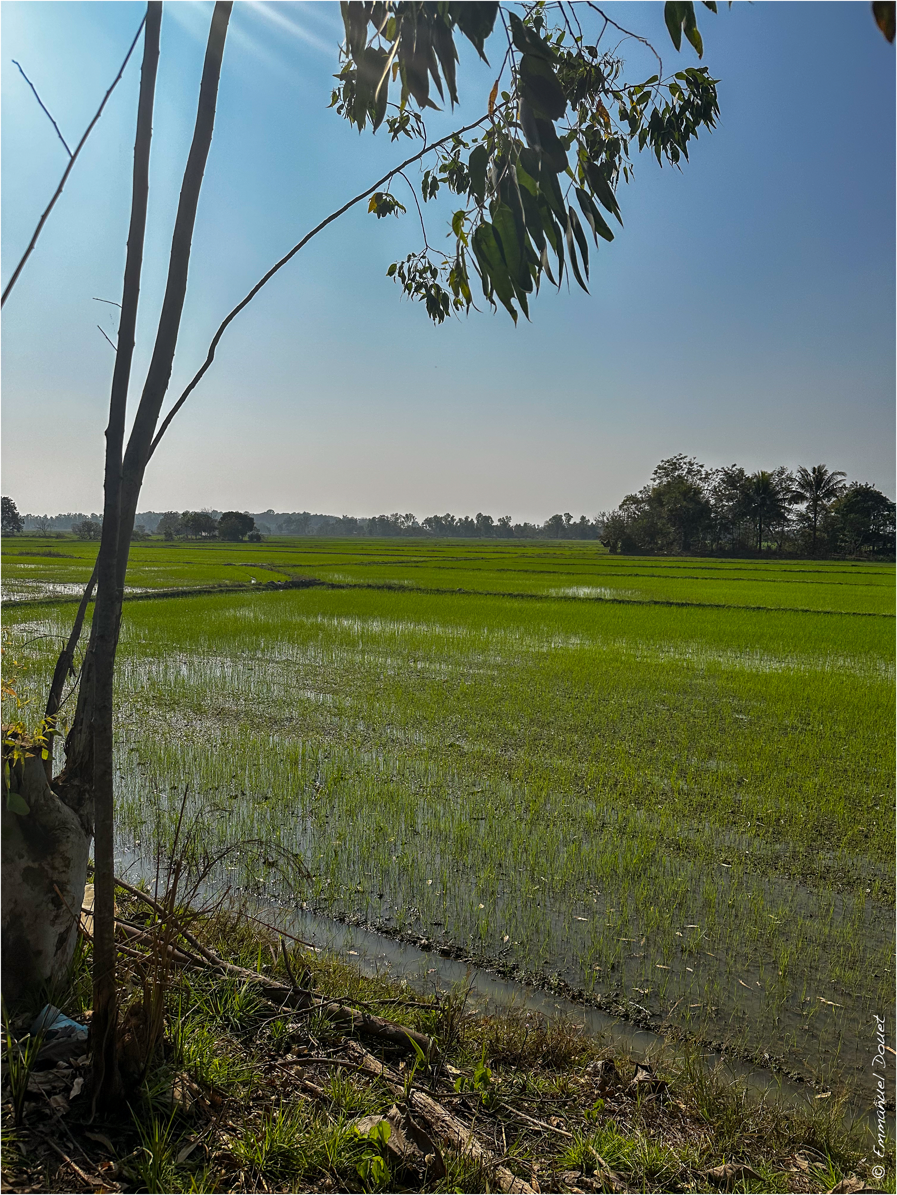 2025 02 Thaïlande&Laos 125