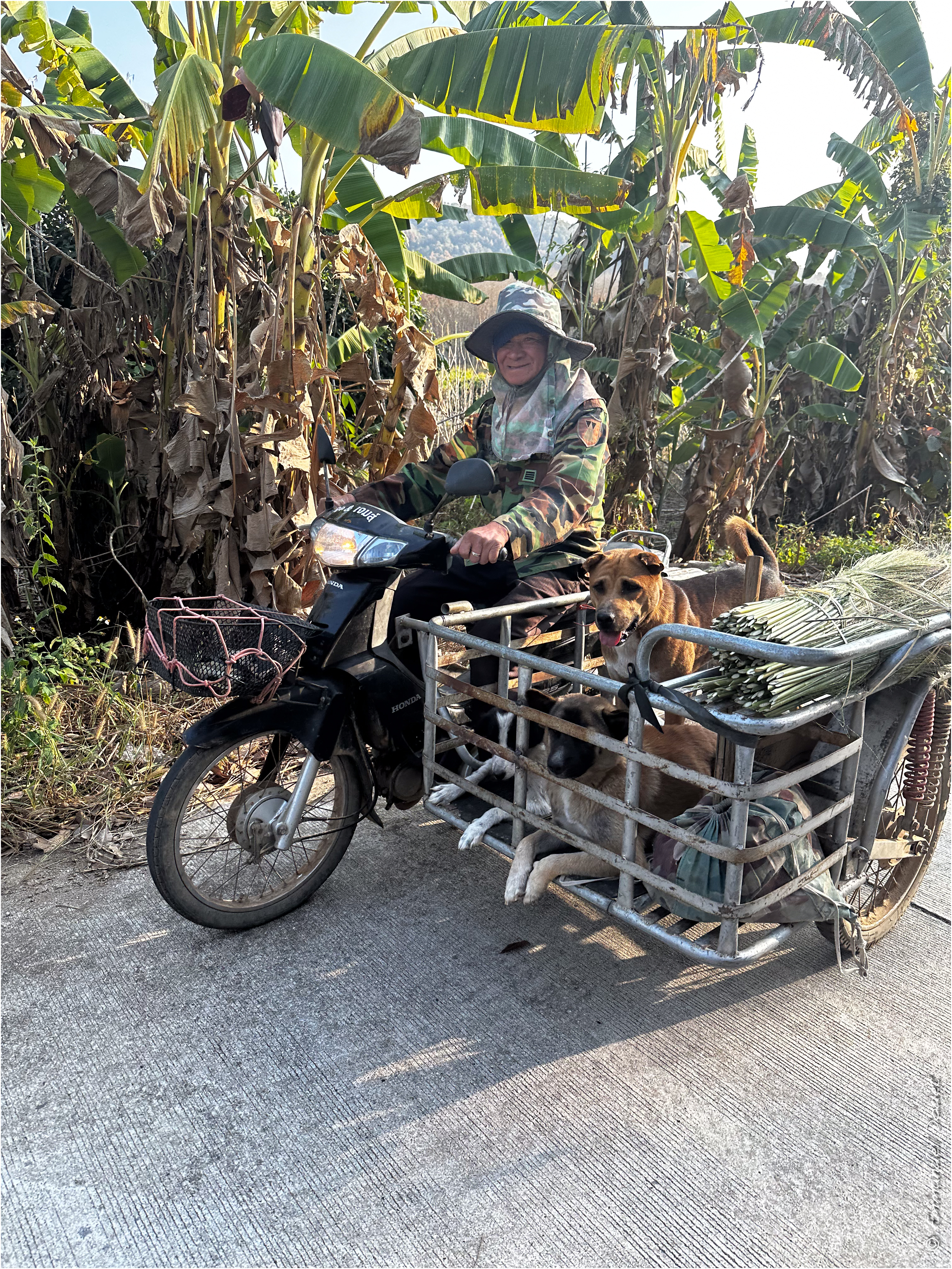 2025 02 Thaïlande&Laos 129