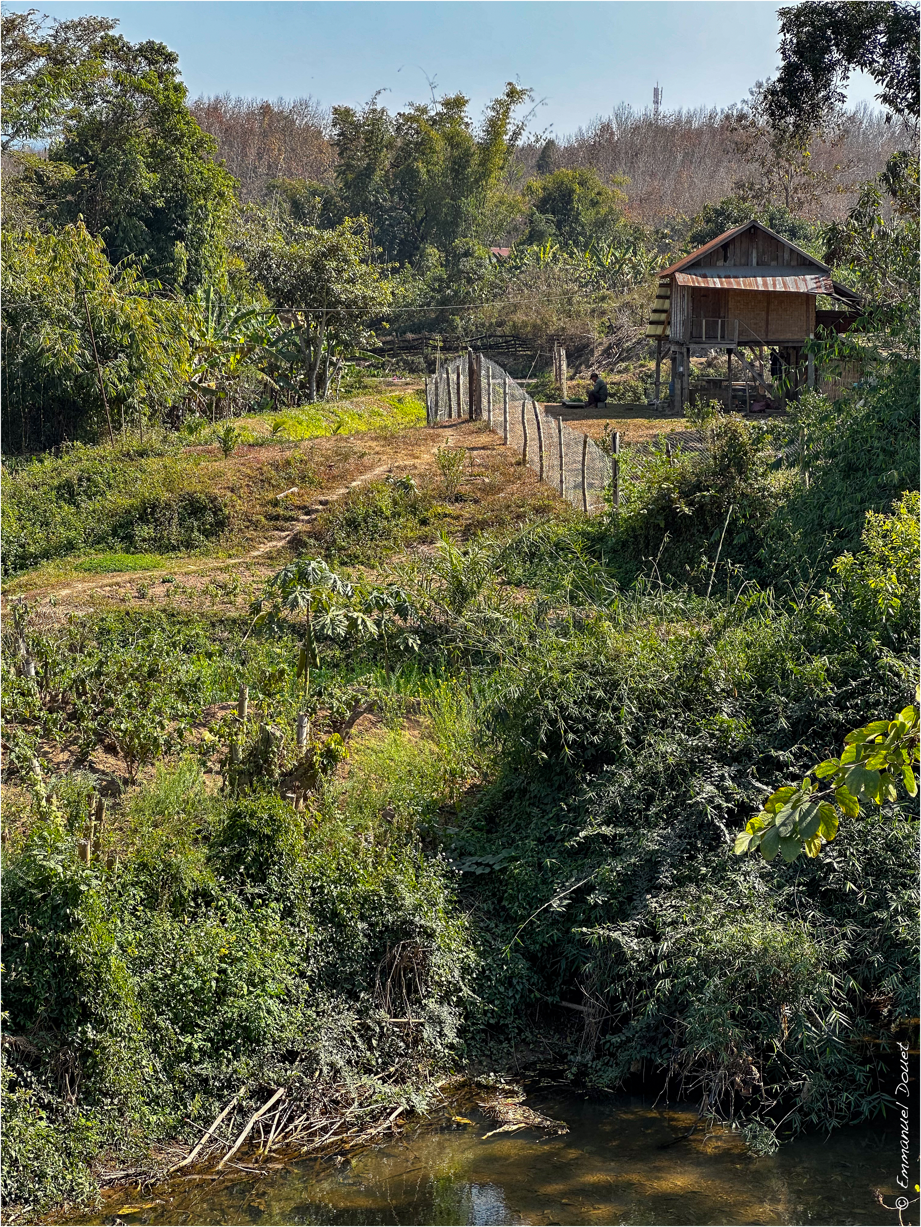 2025 02 Thaïlande&Laos 168