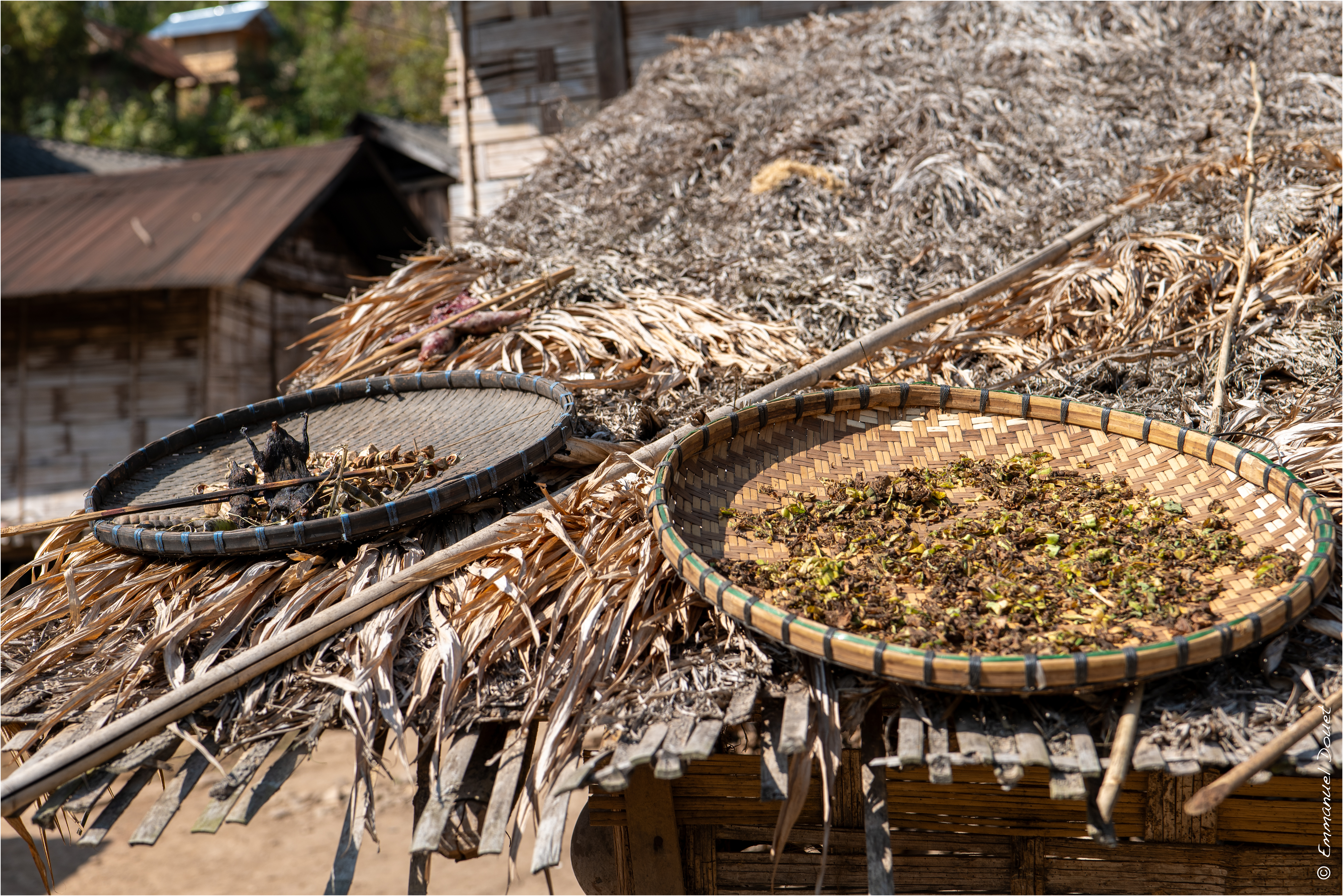 2025 02 Thaïlande&Laos 176
