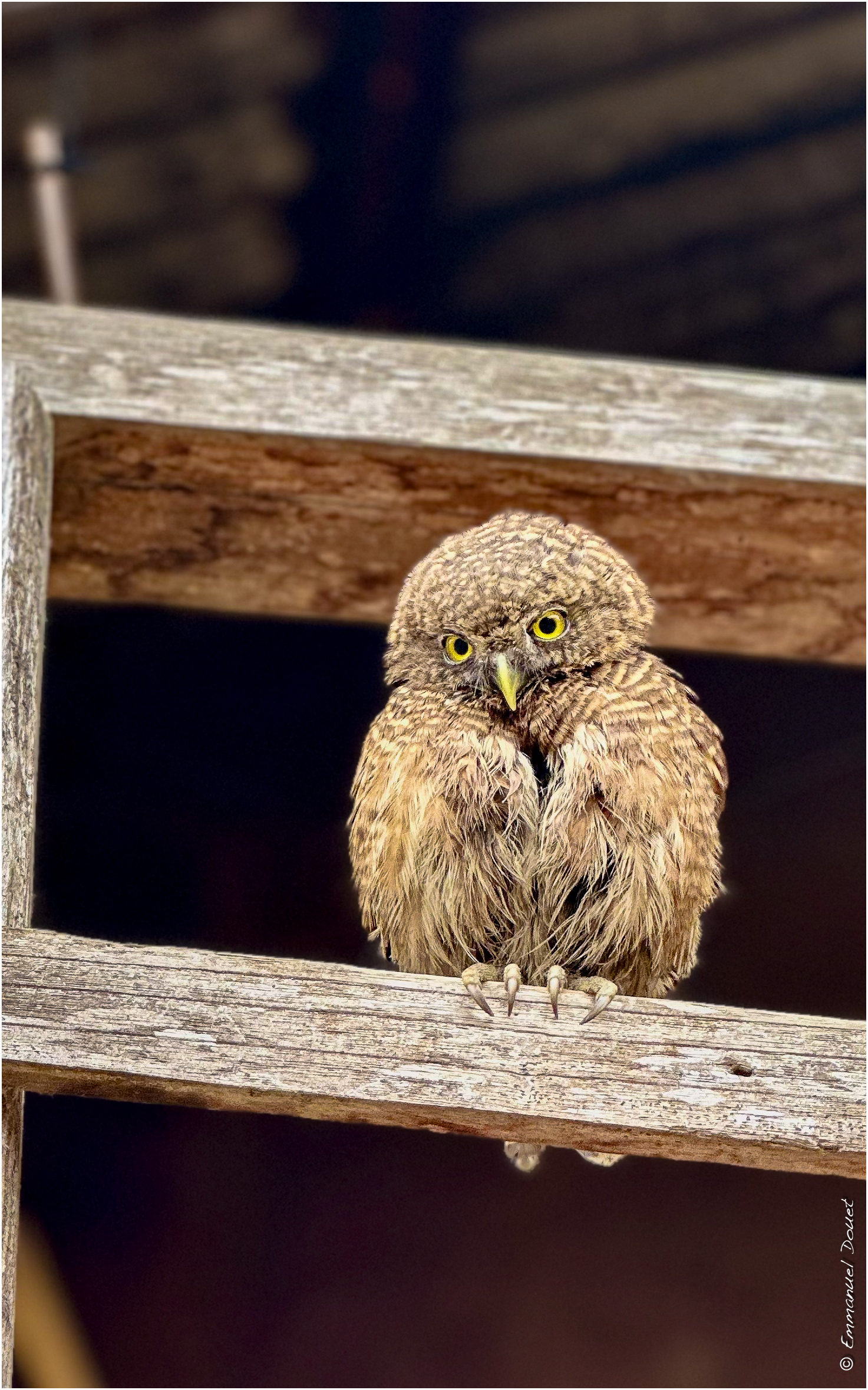 2025 02 Thaïlande&Laos 198