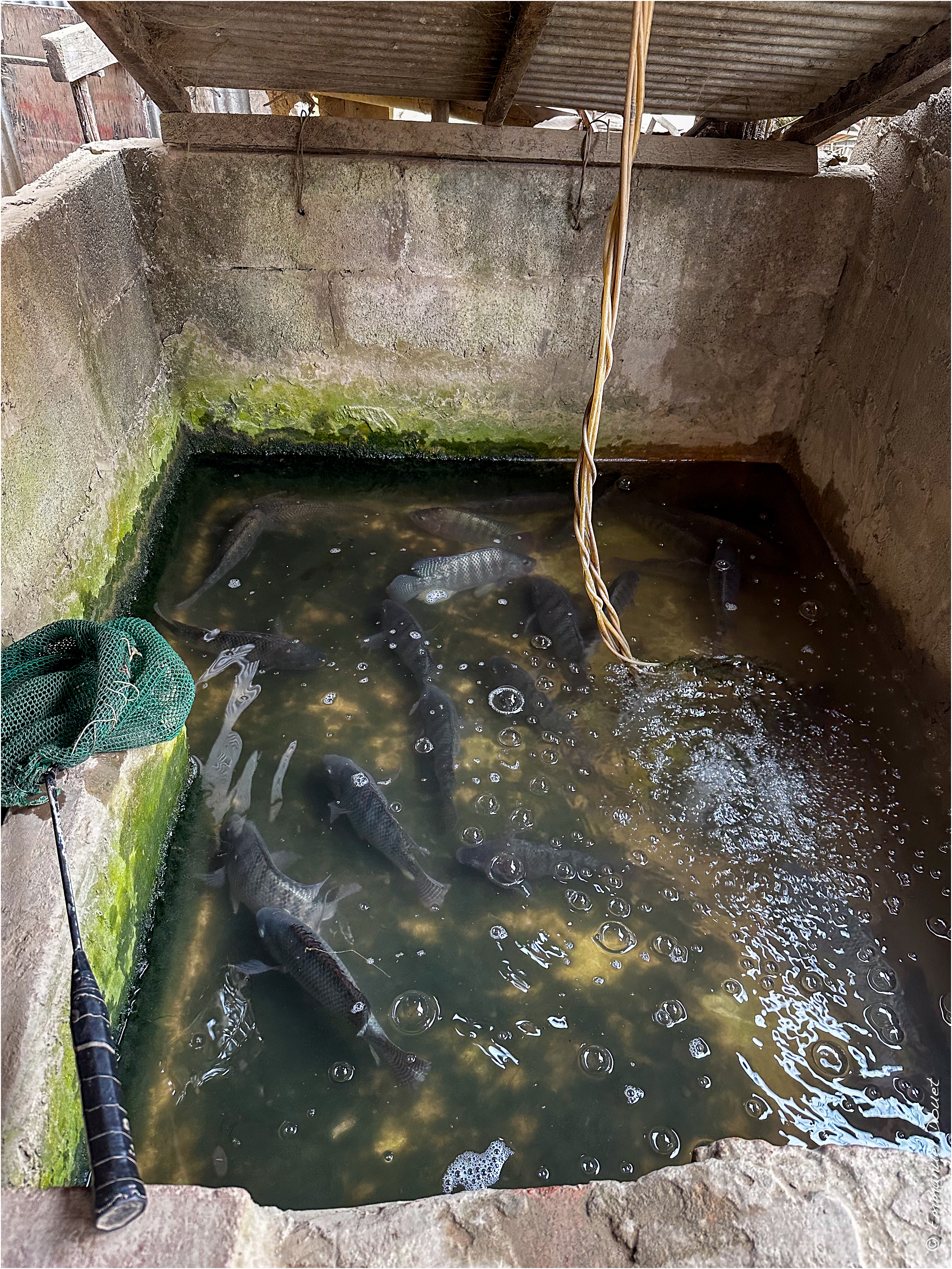 2025 02 Thaïlande&Laos 199