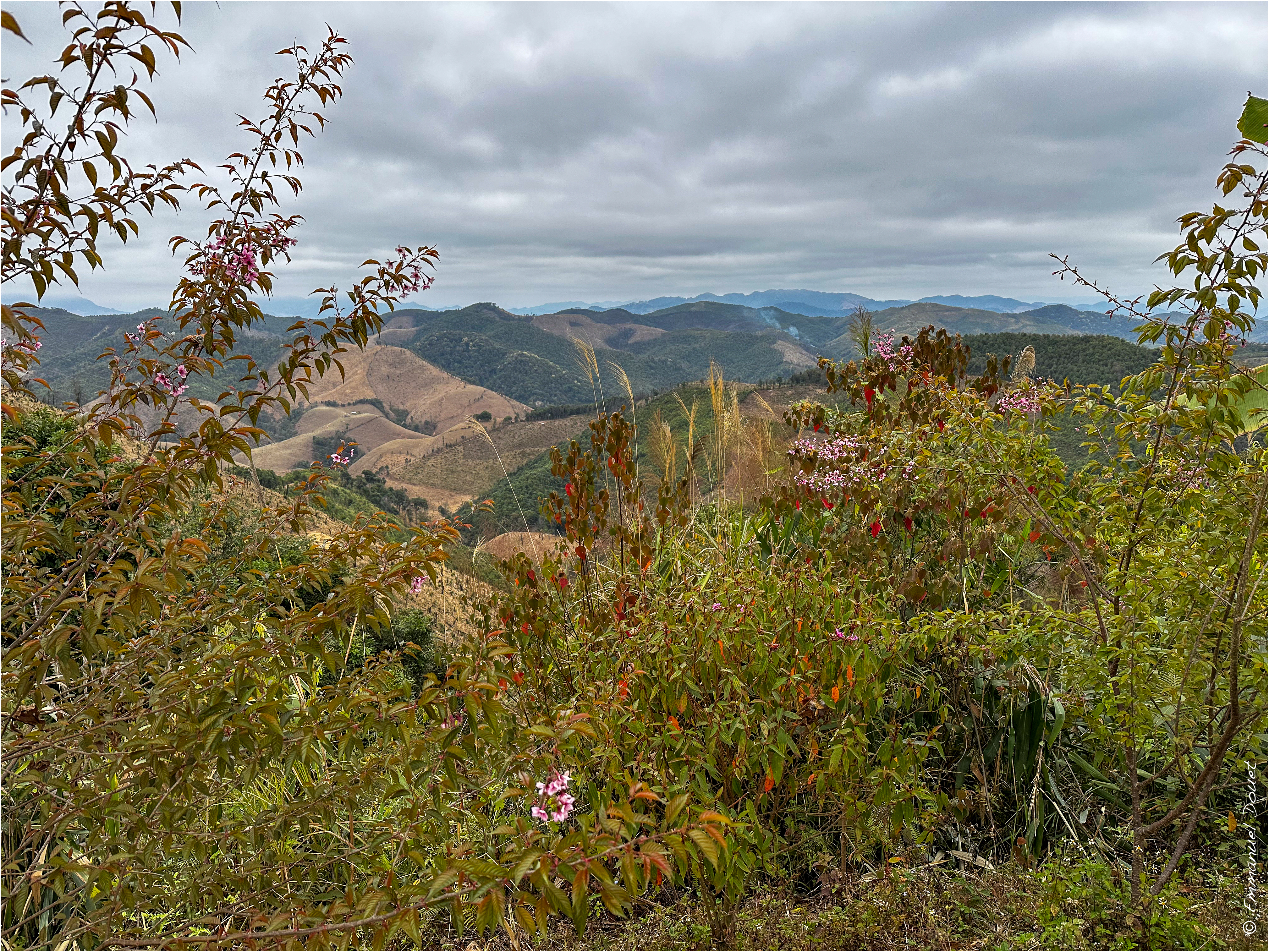 2025 02 Thaïlande&Laos 210