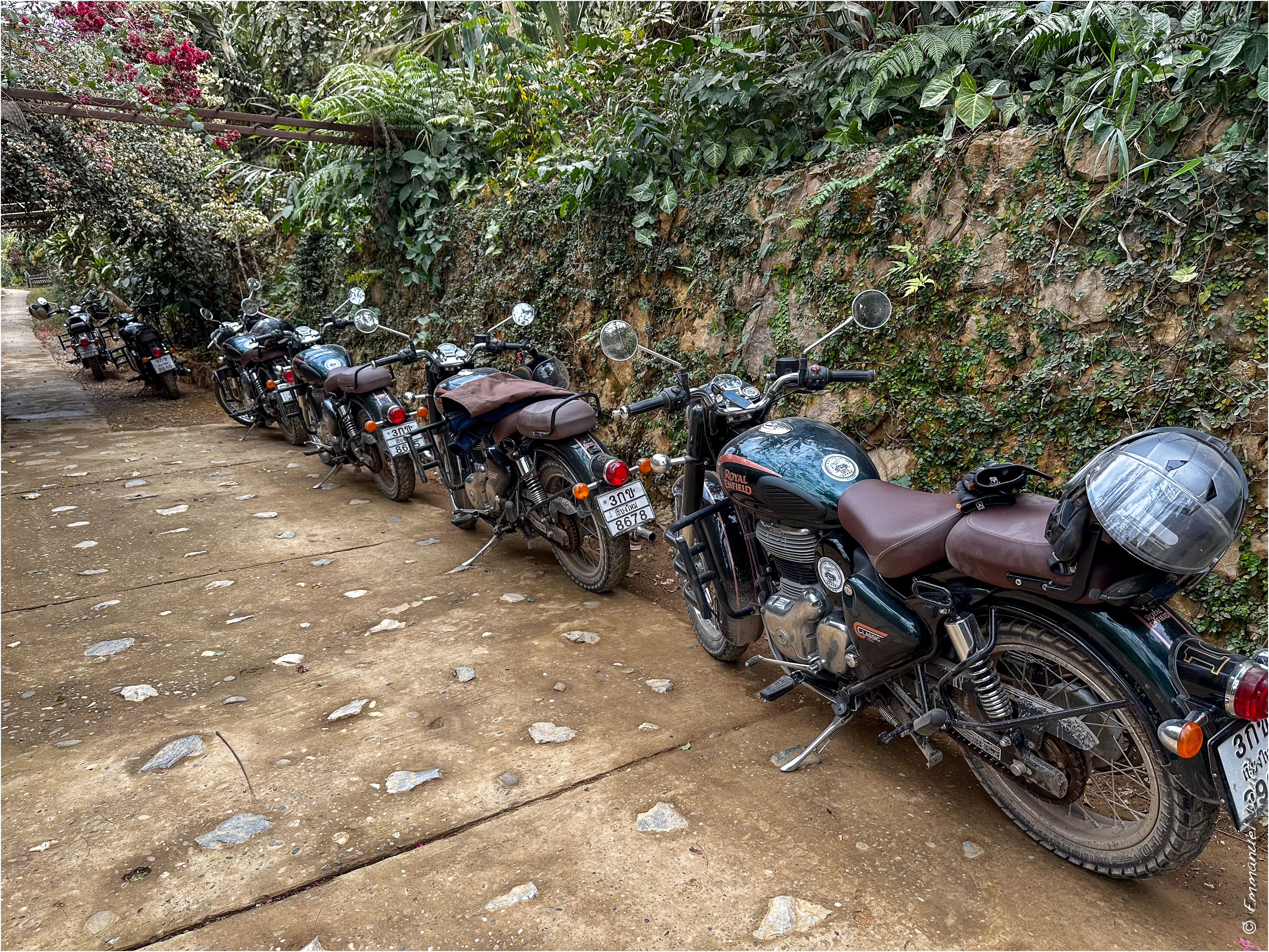 2025 02 Thaïlande&Laos 213