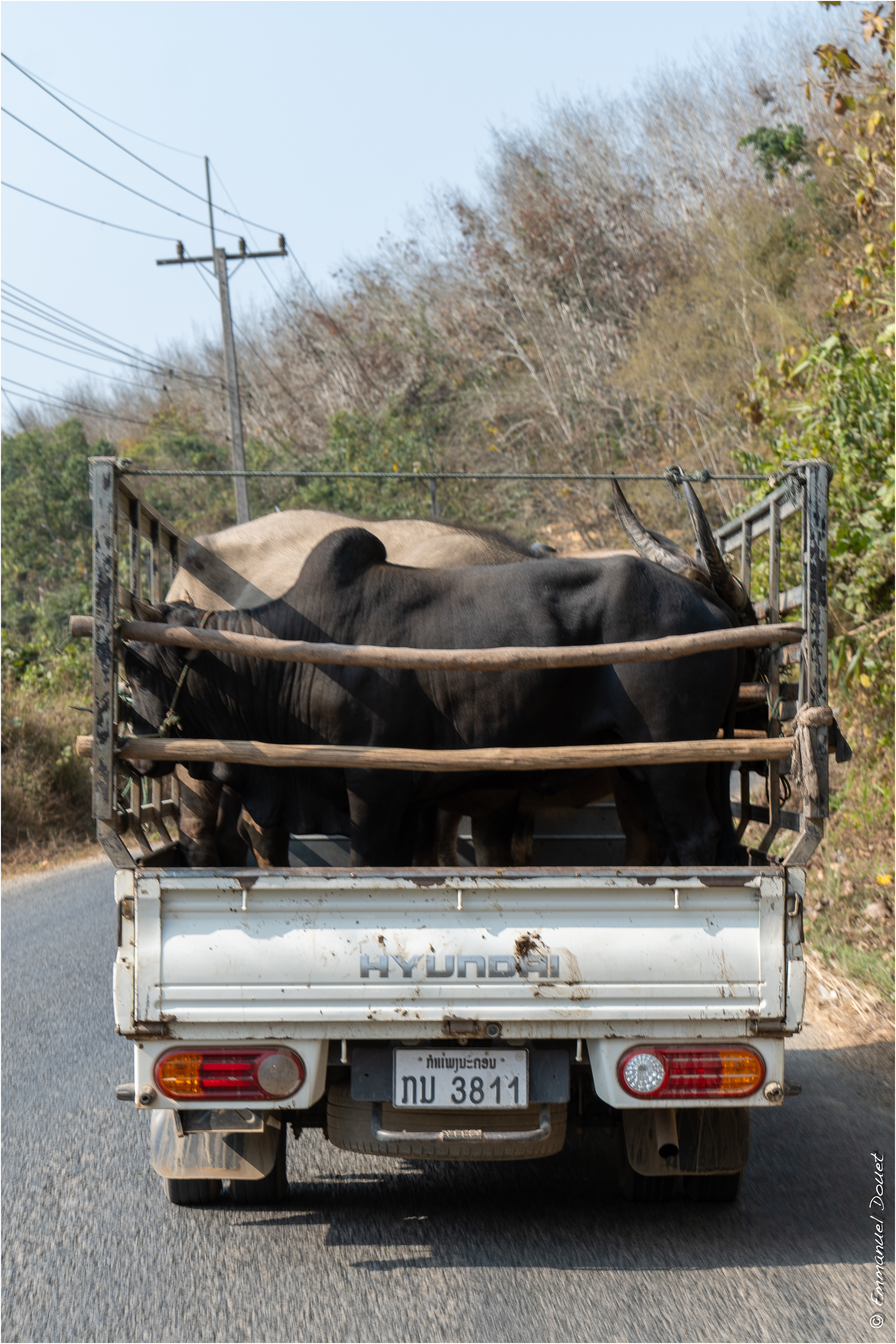 2025 02 Thaïlande&Laos 233