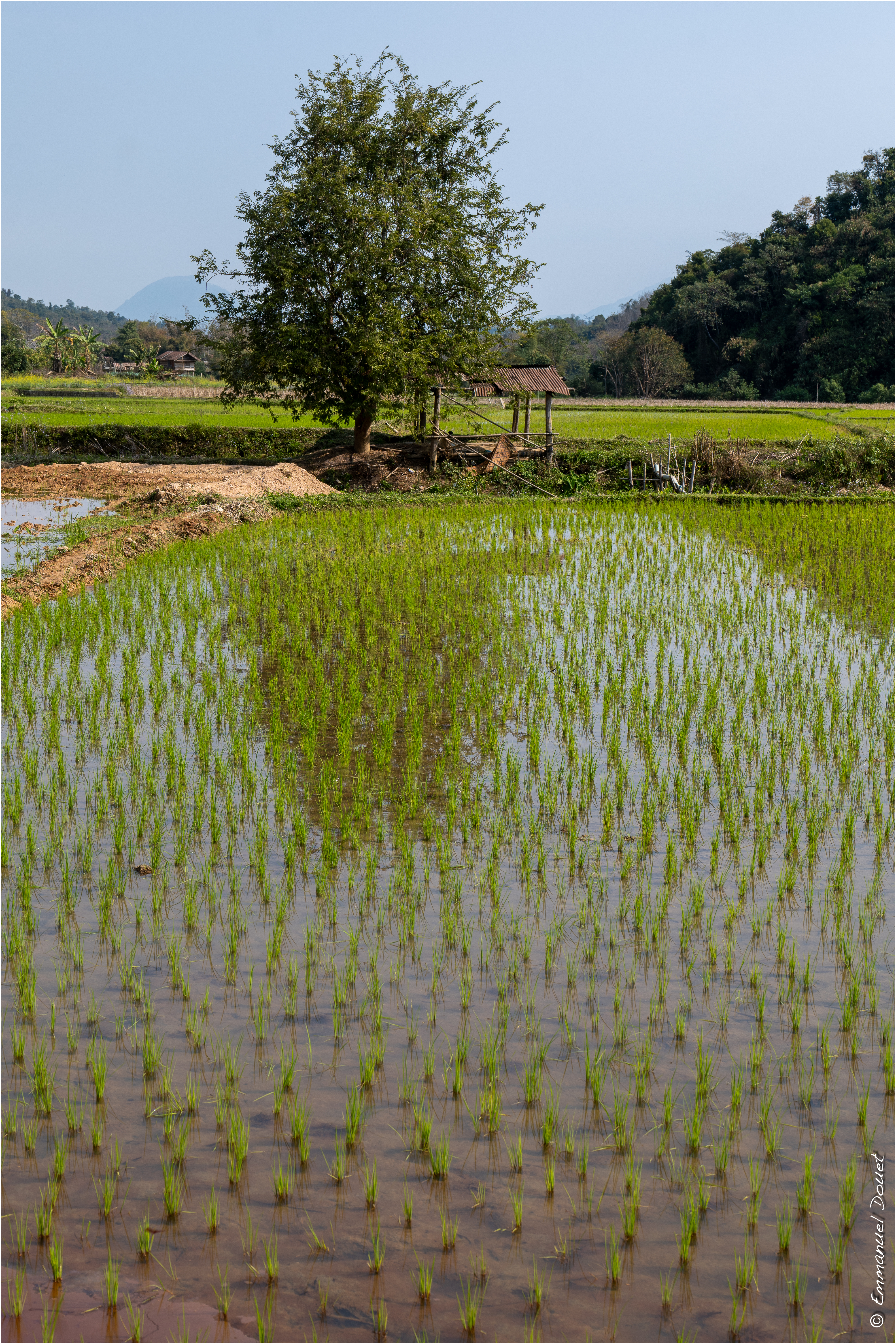 2025 02 Thaïlande&Laos 235