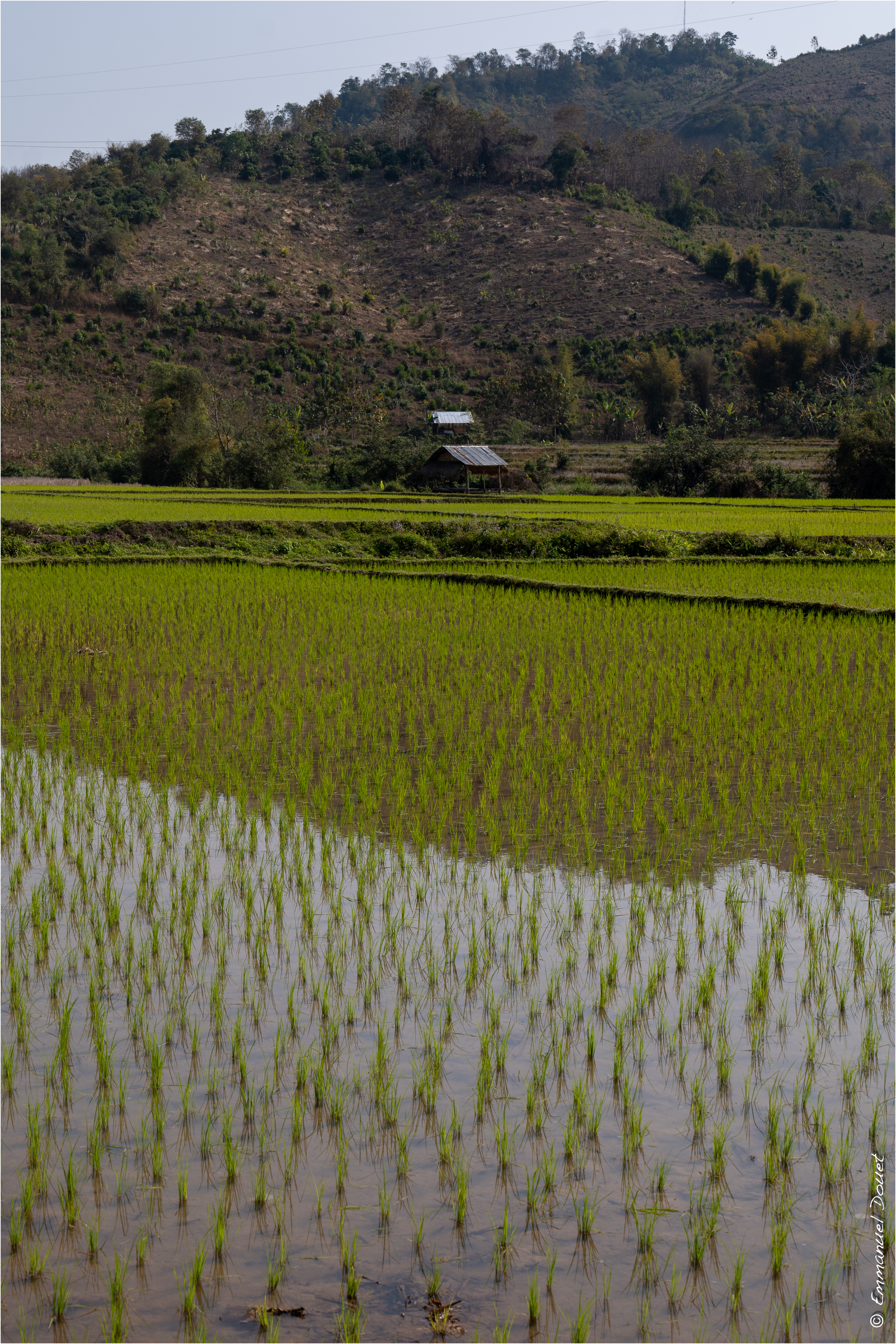 2025 02 Thaïlande&Laos 236