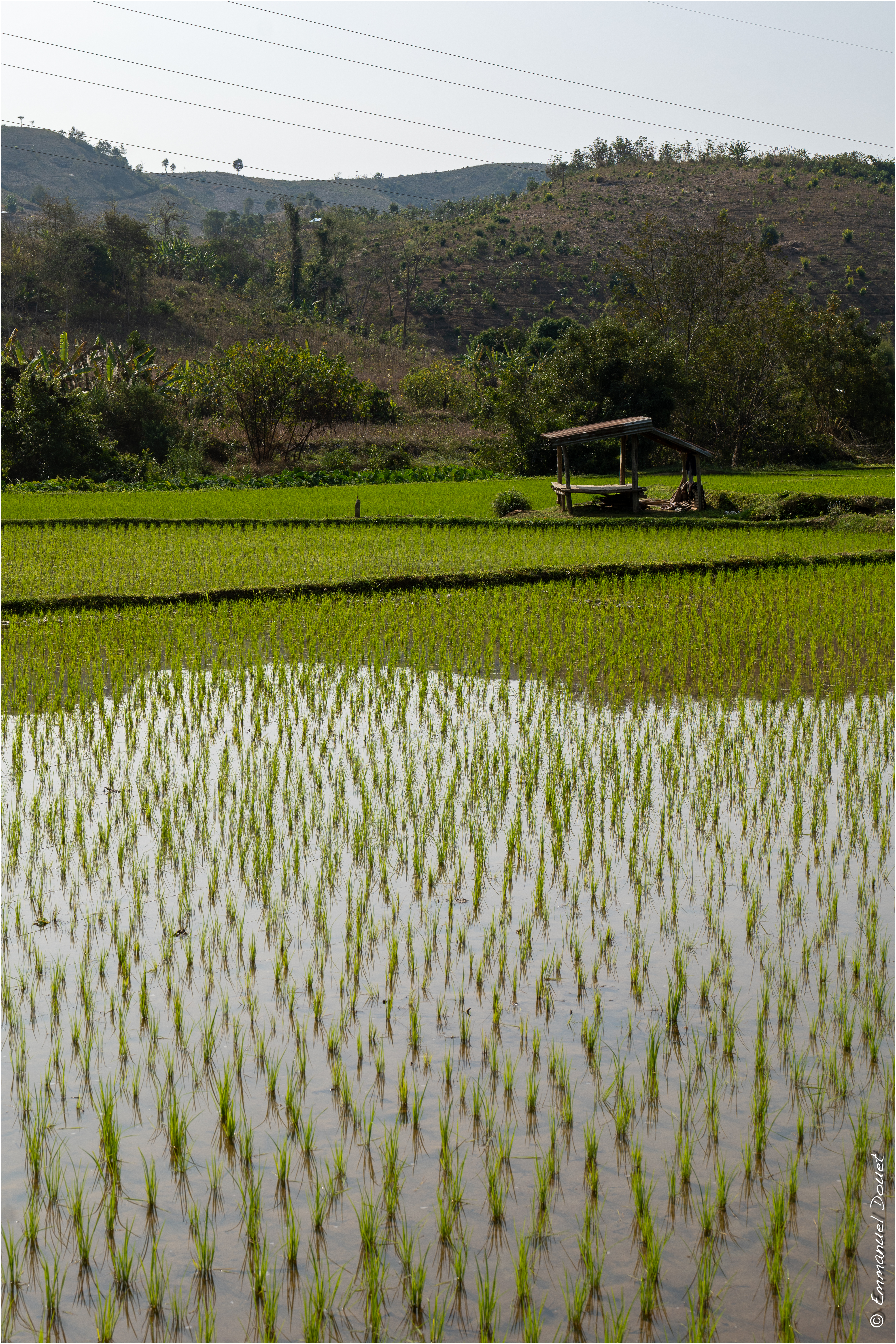 2025 02 Thaïlande&Laos 237