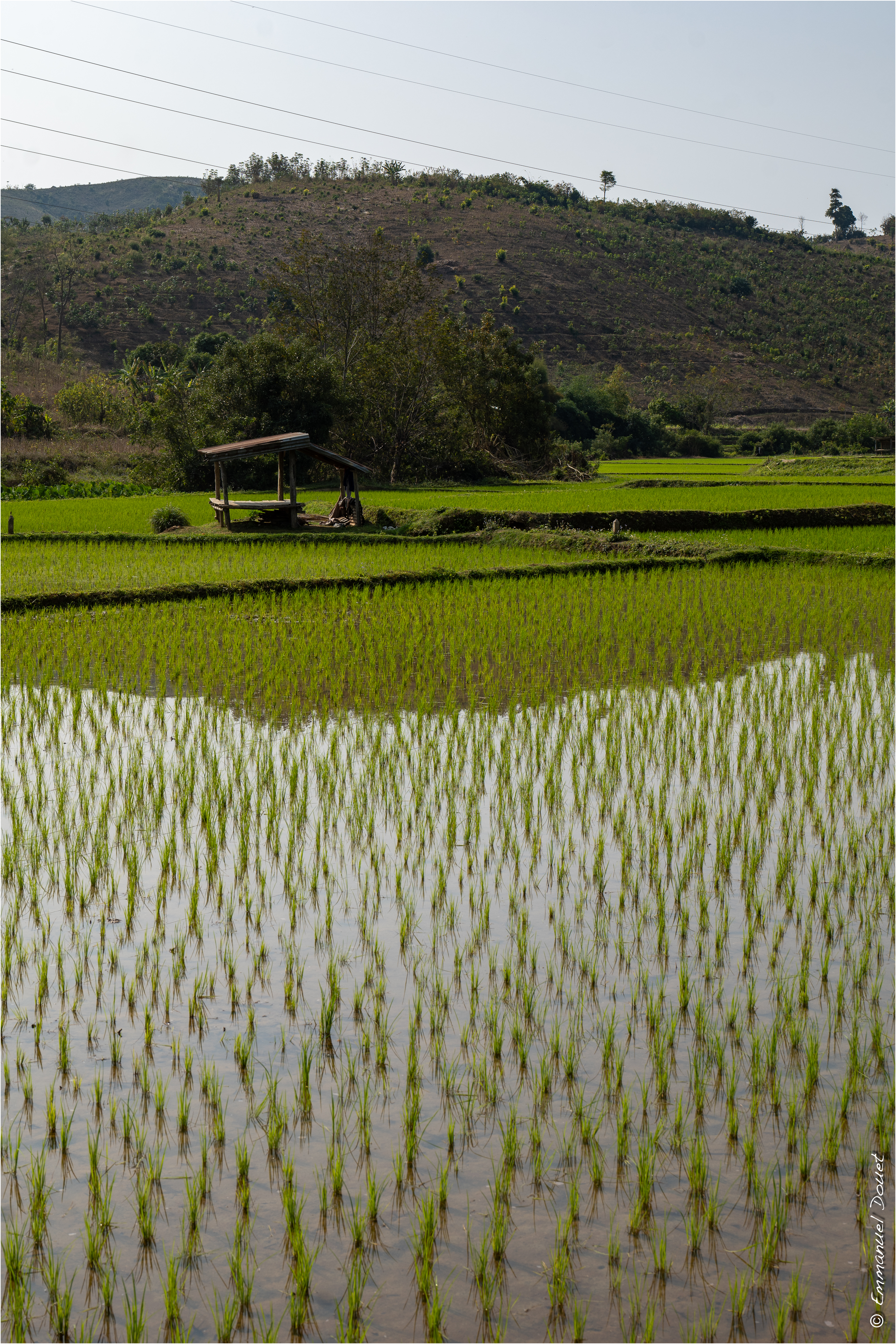 2025 02 Thaïlande&Laos 238