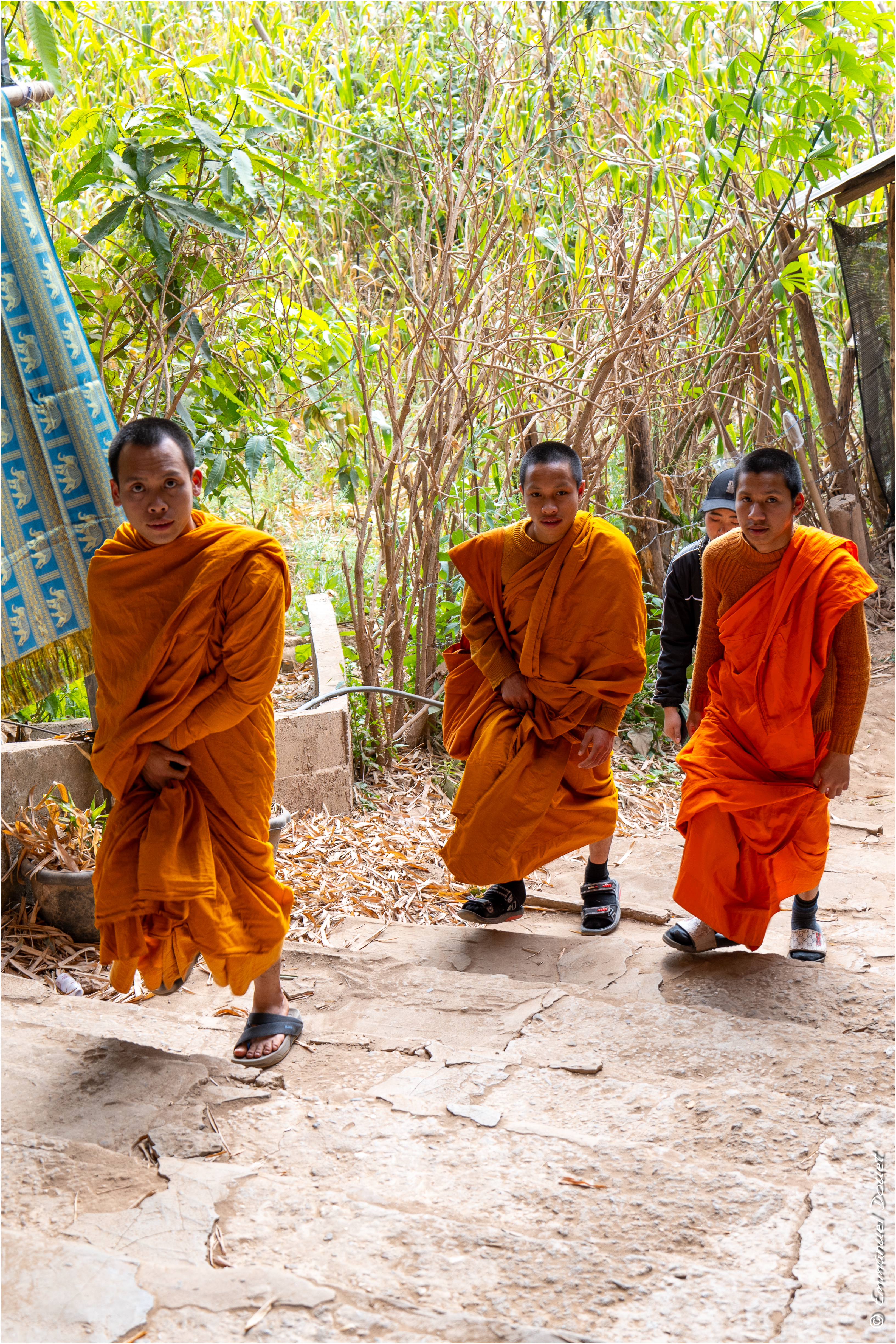 2025 02 Thaïlande&Laos 259