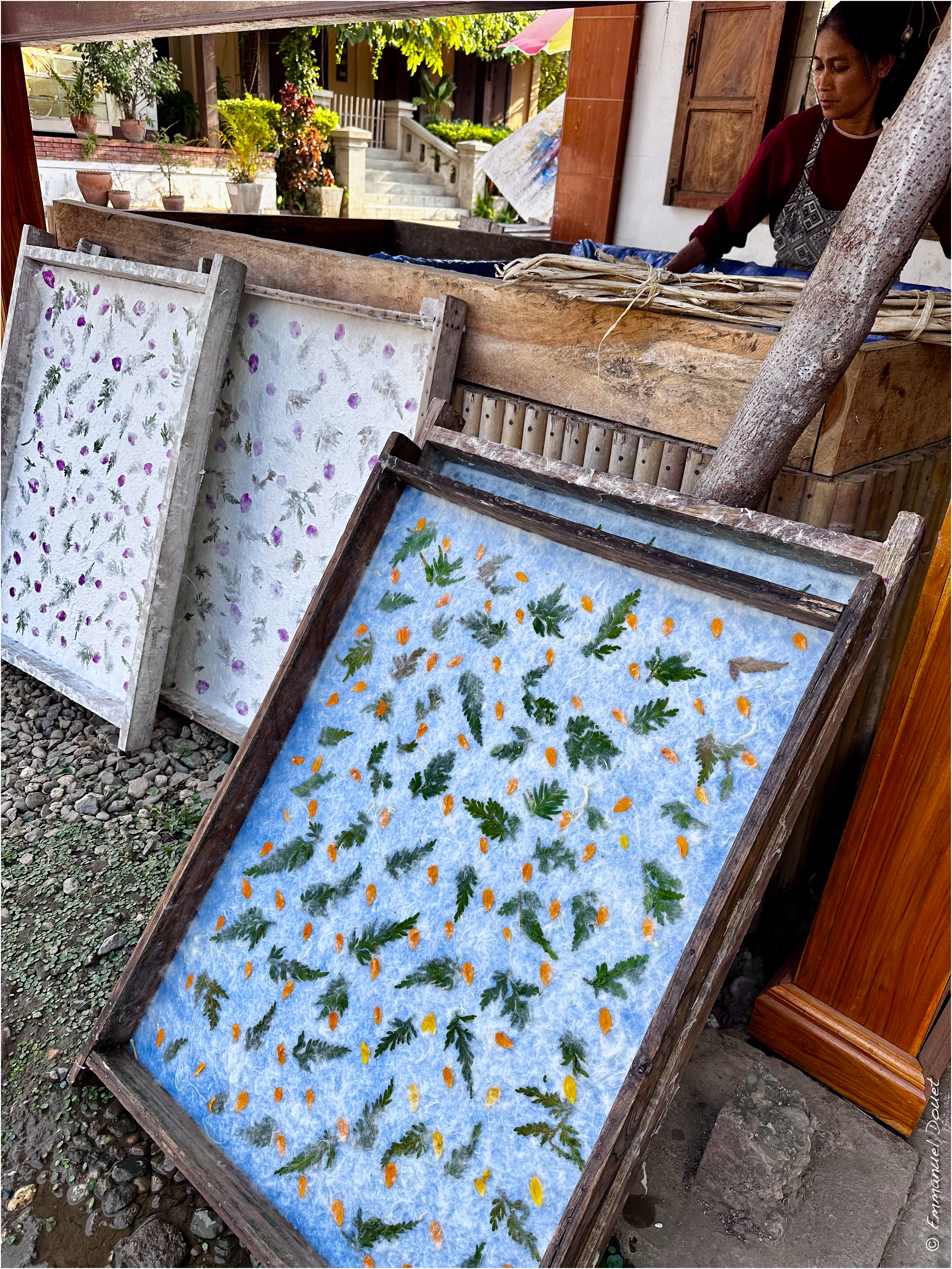 2025 02 Thaïlande&Laos 265