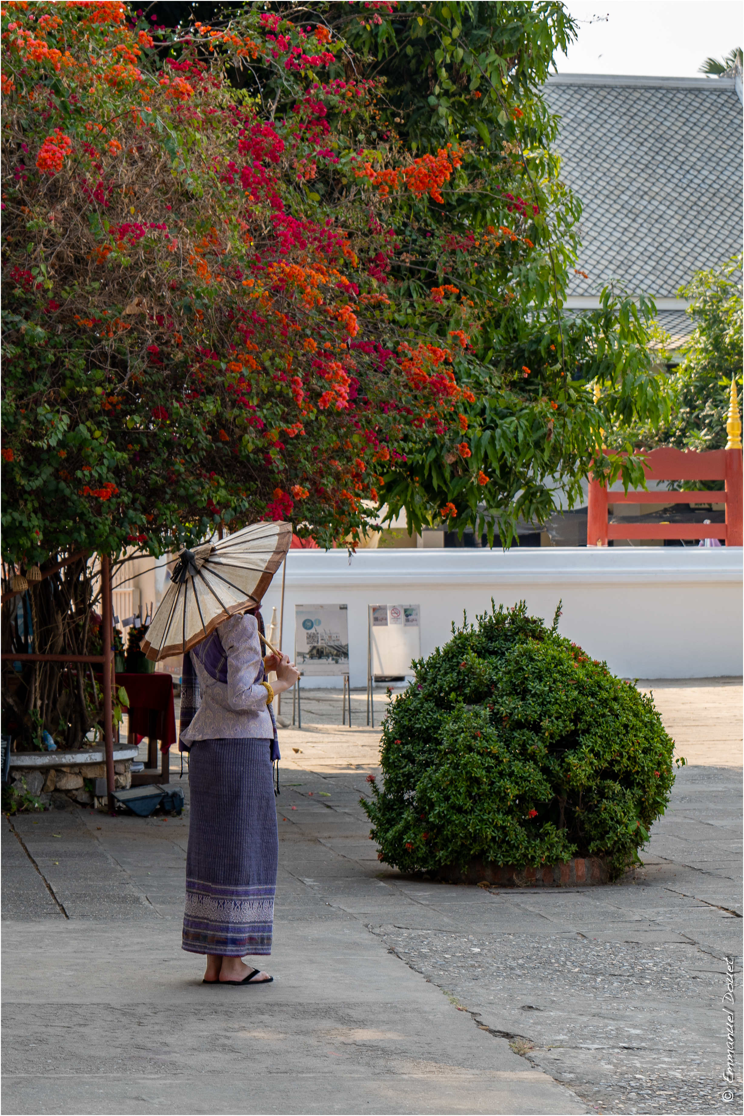 2025 02 Thaïlande&Laos 292