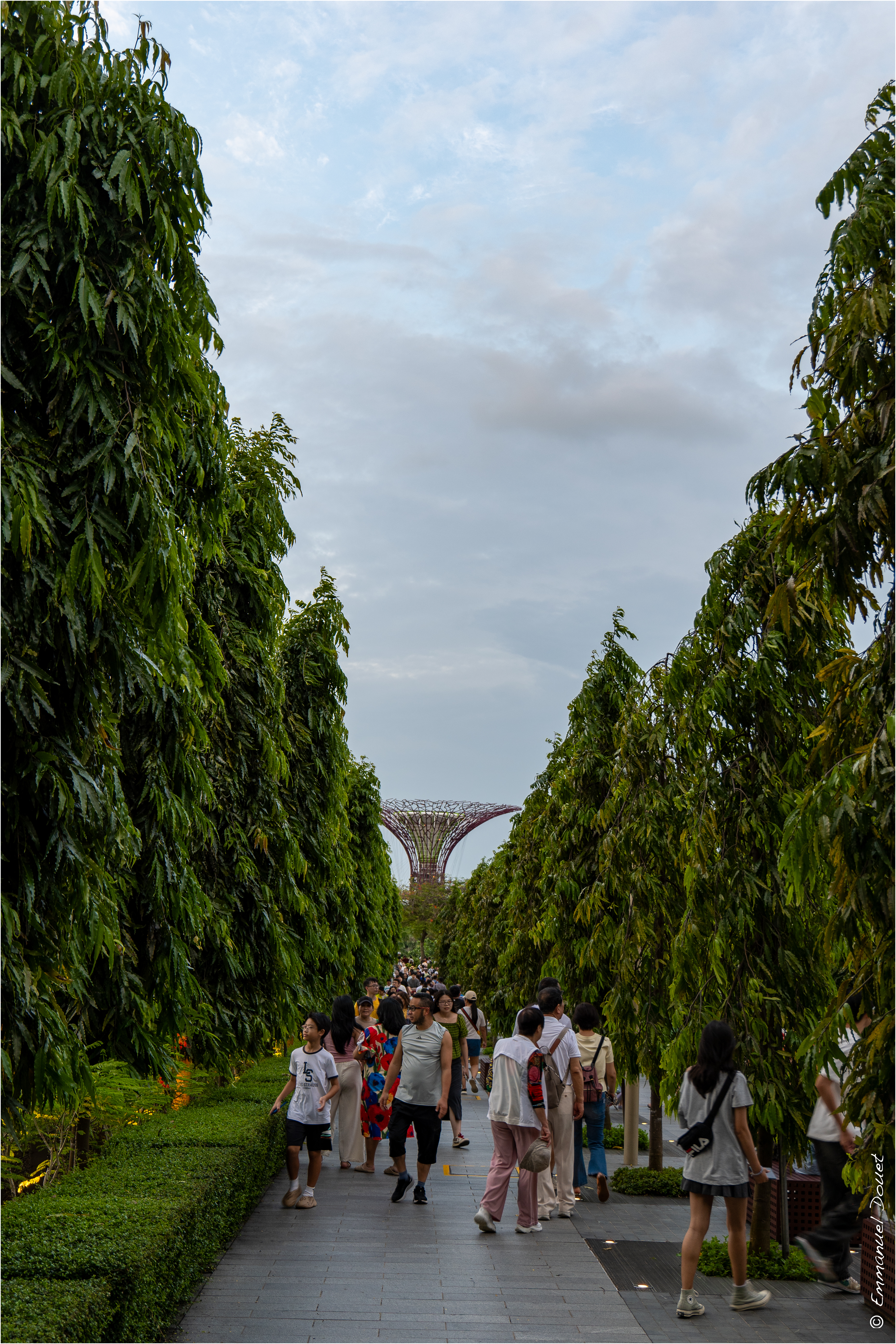 2025 02 Thaïlande&Laos 3