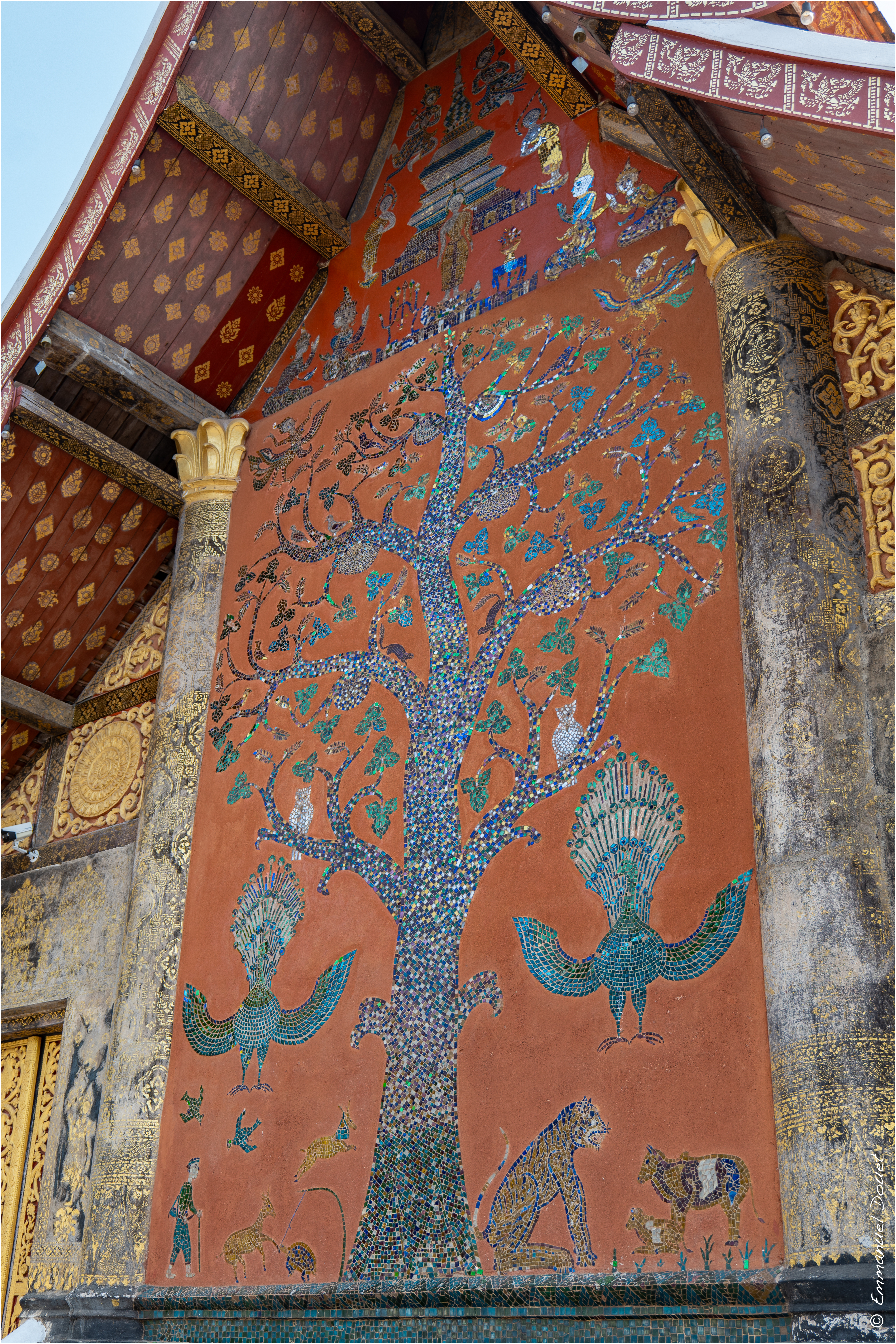 2025 02 Thaïlande&Laos 310