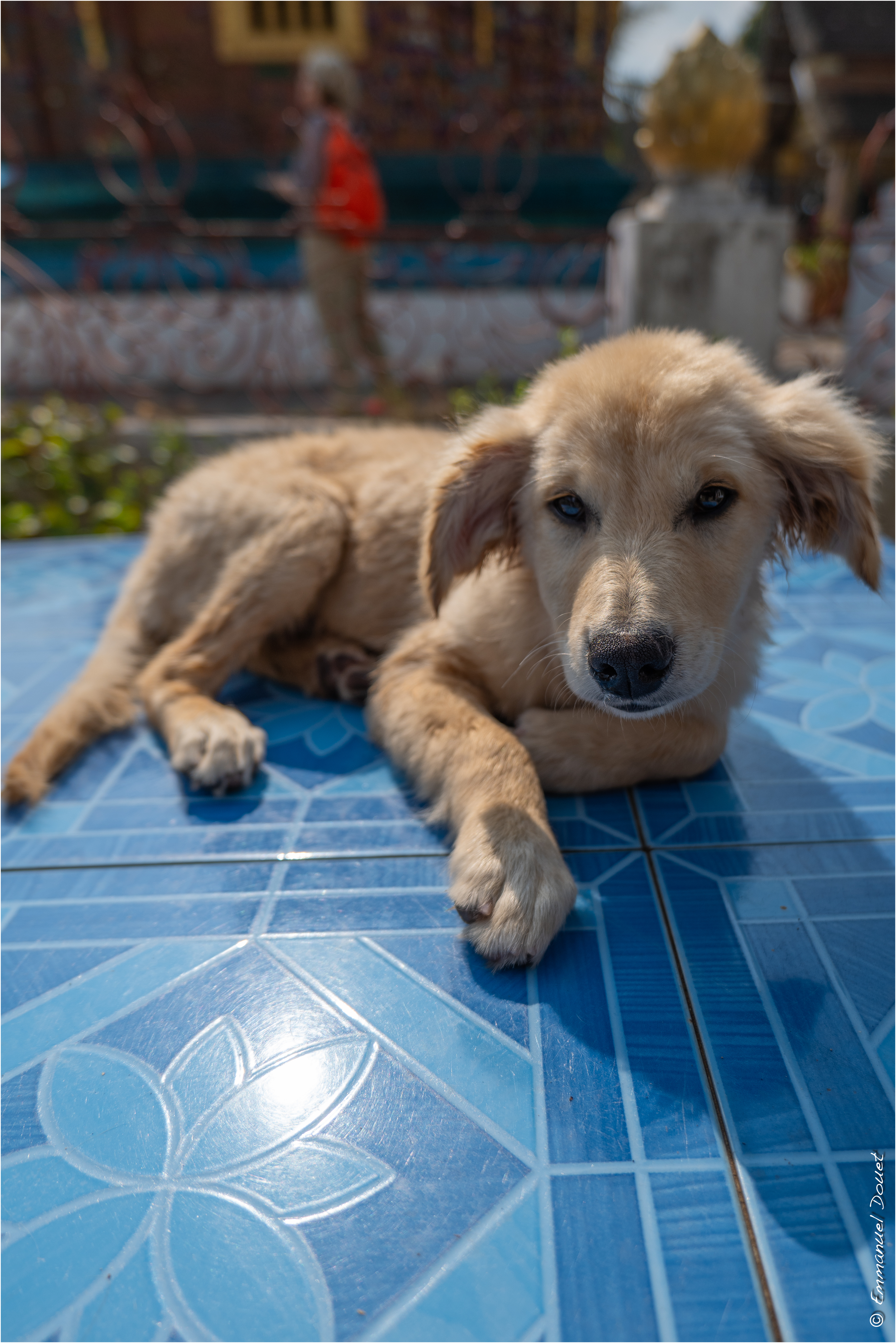 2025 02 Thaïlande&Laos 311