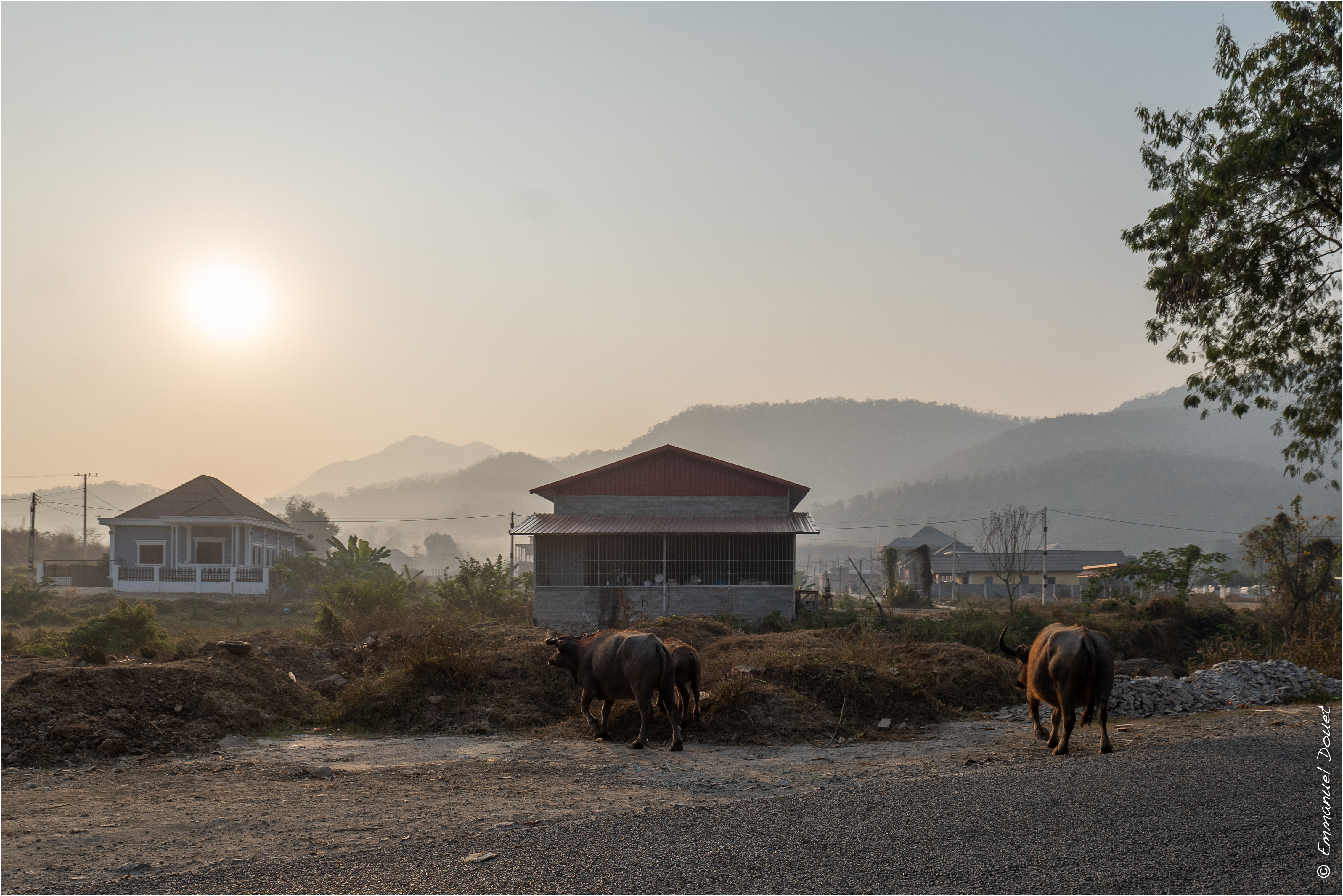 2025 02 Thaïlande&Laos 345